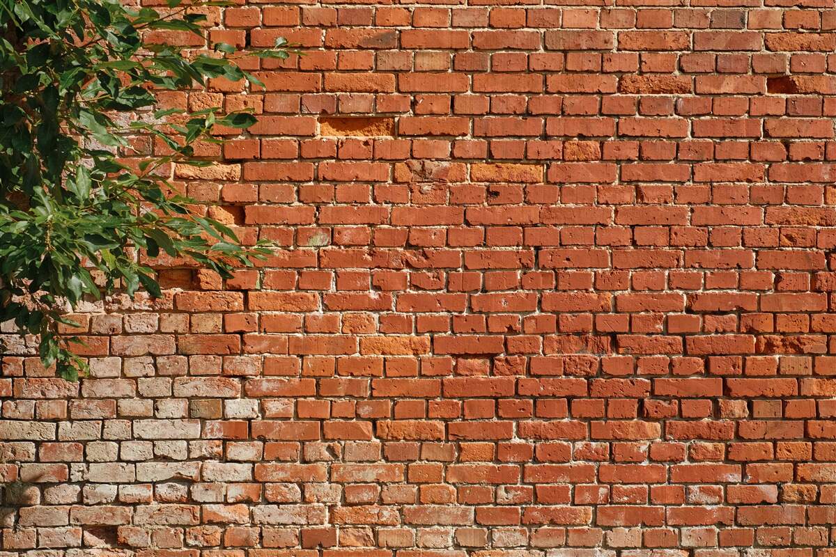 Fototapeta drewniana gałąź obok ceglanej bariery