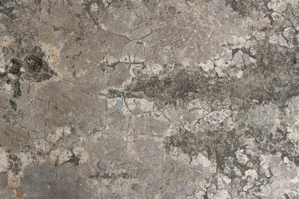 Fototapeta szara granitowa skała