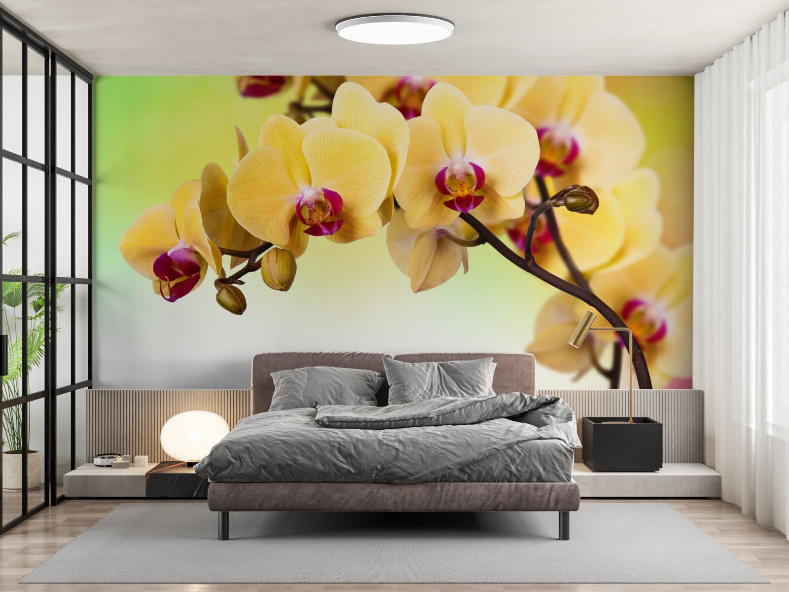 Fototapeta gałąź żółtej orchidei kwitnącej w kolorze