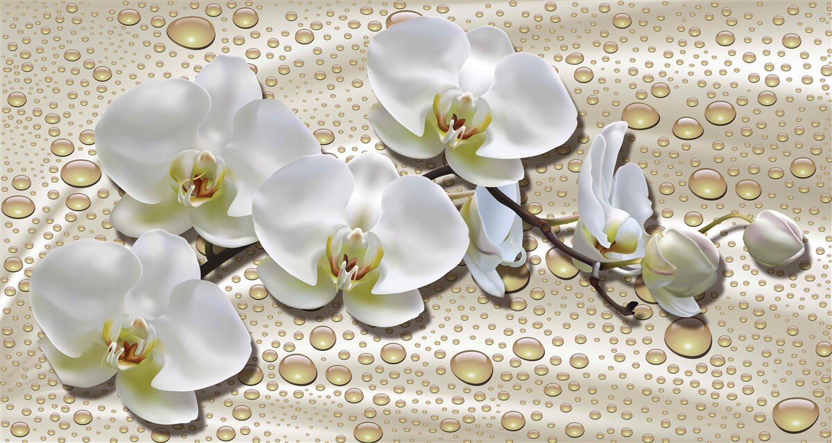 Fototapeta gałąź białej orchidei zwilżona deszczem na jedwabiu
