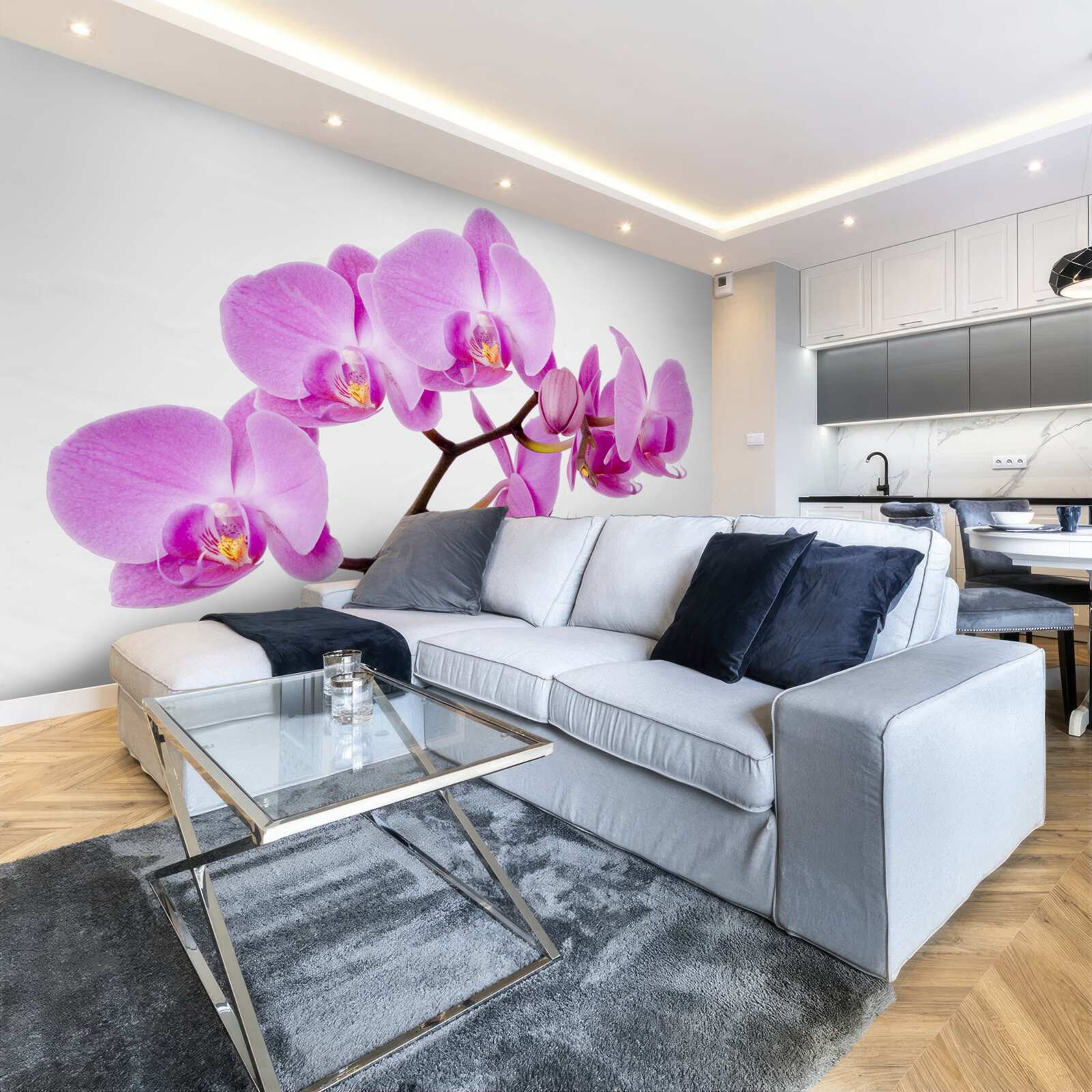 Fototapeta fioletowa orchidea afrodyty
