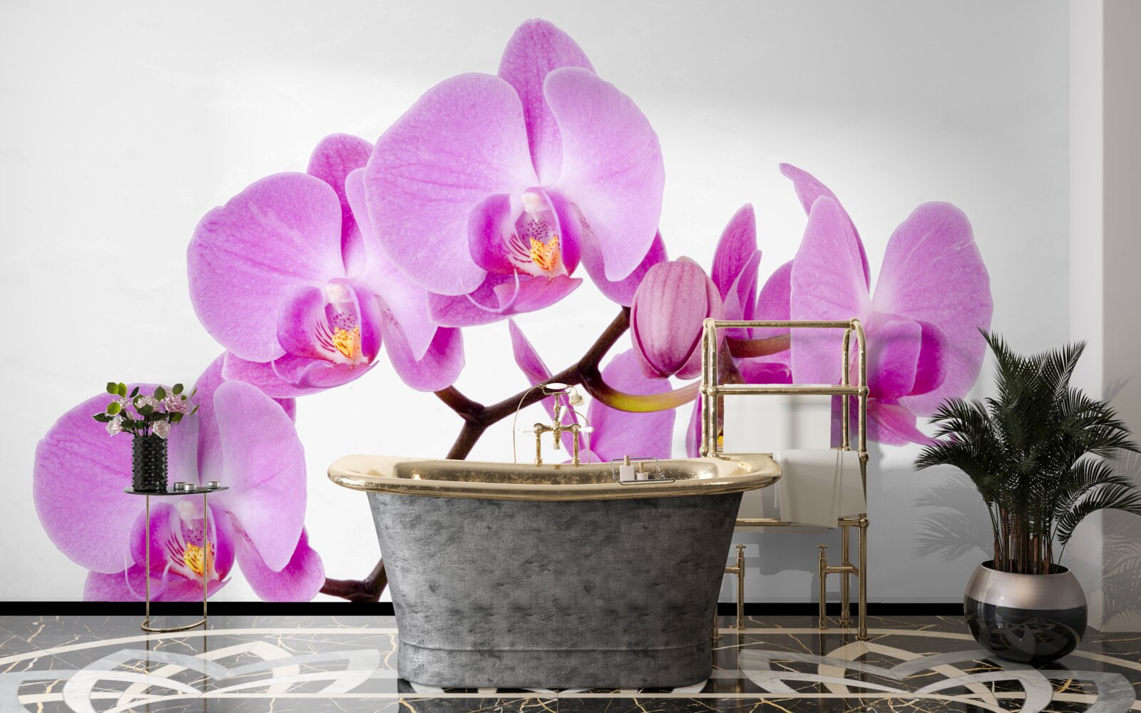 Fototapeta fioletowa orchidea afrodyty