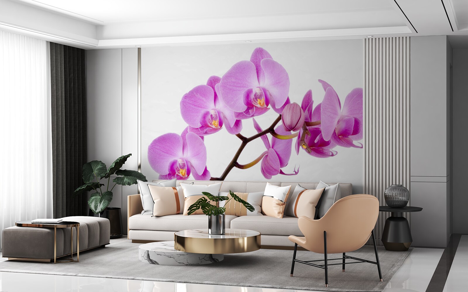 Fototapeta fioletowa orchidea afrodyty