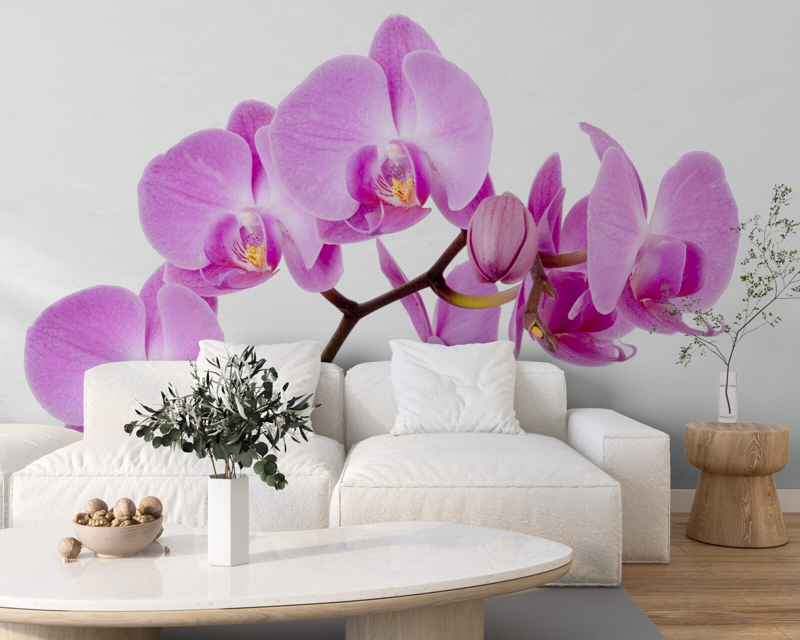 Fototapeta fioletowa orchidea afrodyty