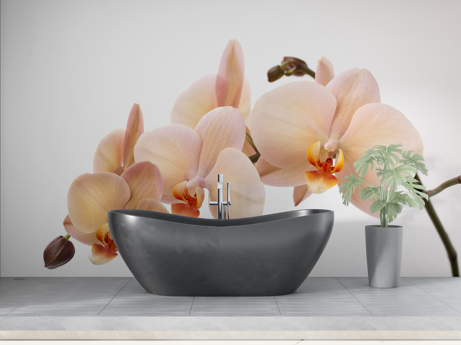 Fototapeta izolowana gałąź orchidei brzoskwiniowej