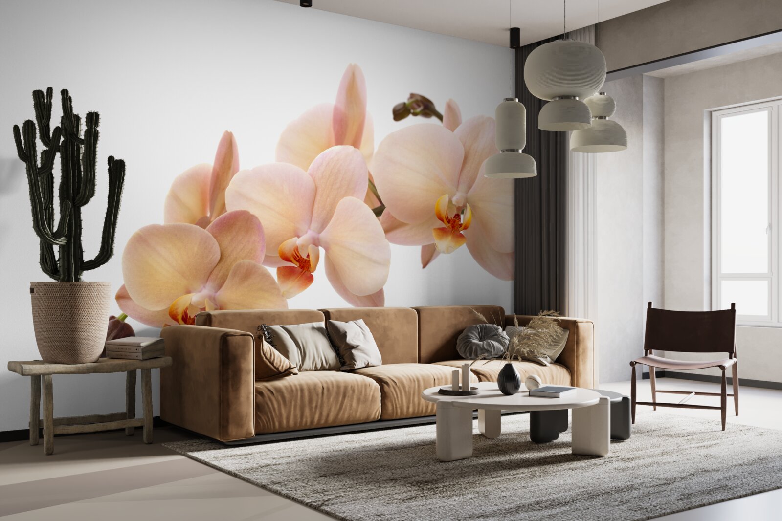 Fototapeta izolowana gałąź orchidei brzoskwiniowej