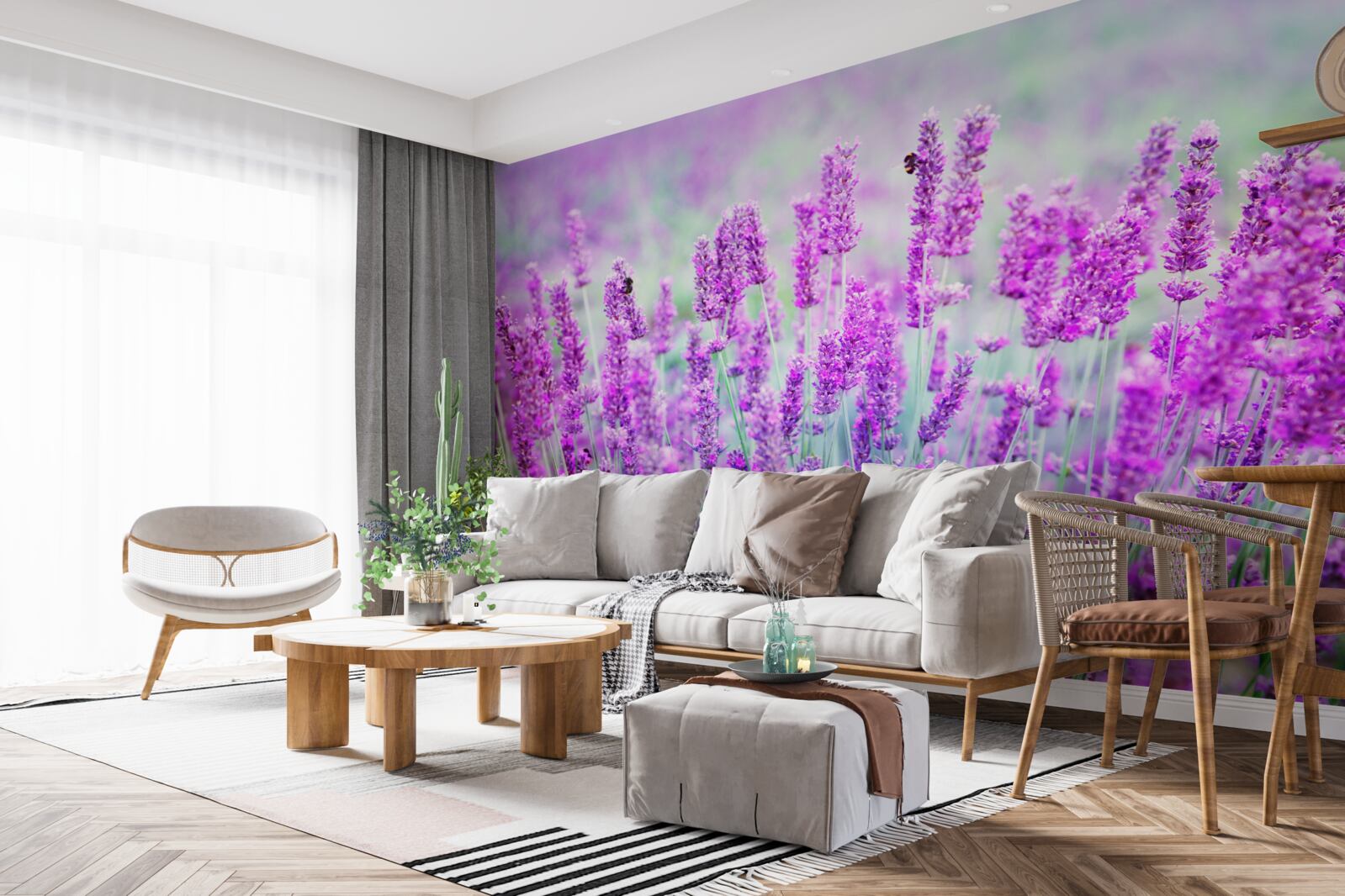 Fototapeta pole kwiatów lawendy