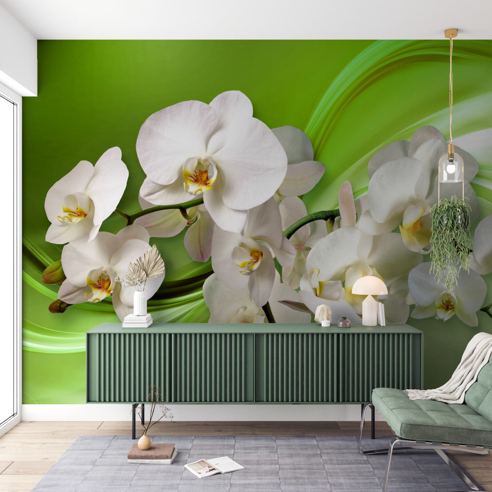 Fototapeta białe orchidee znajdujące się na gałęzi na zielonym tle