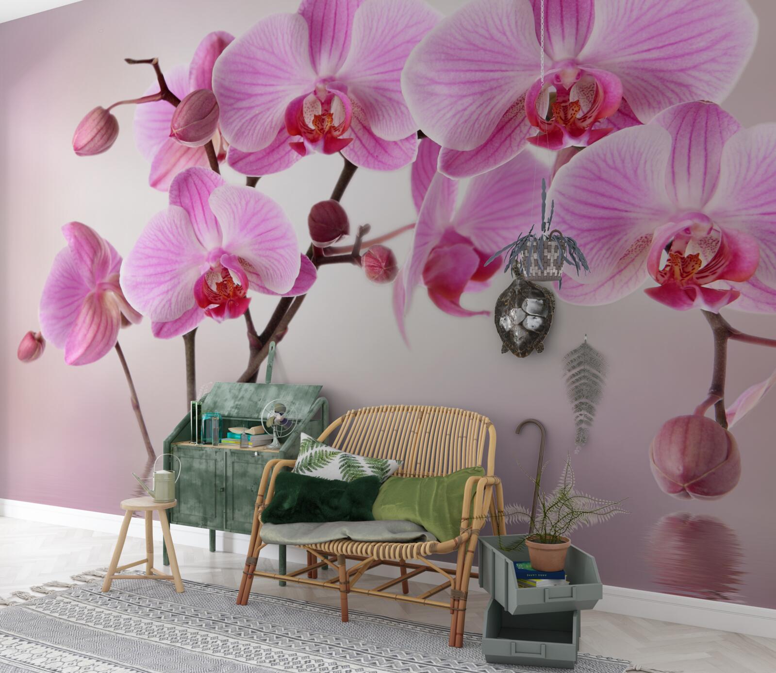 Fototapeta nad wodą wiszą gałęzie liliowej orchidei