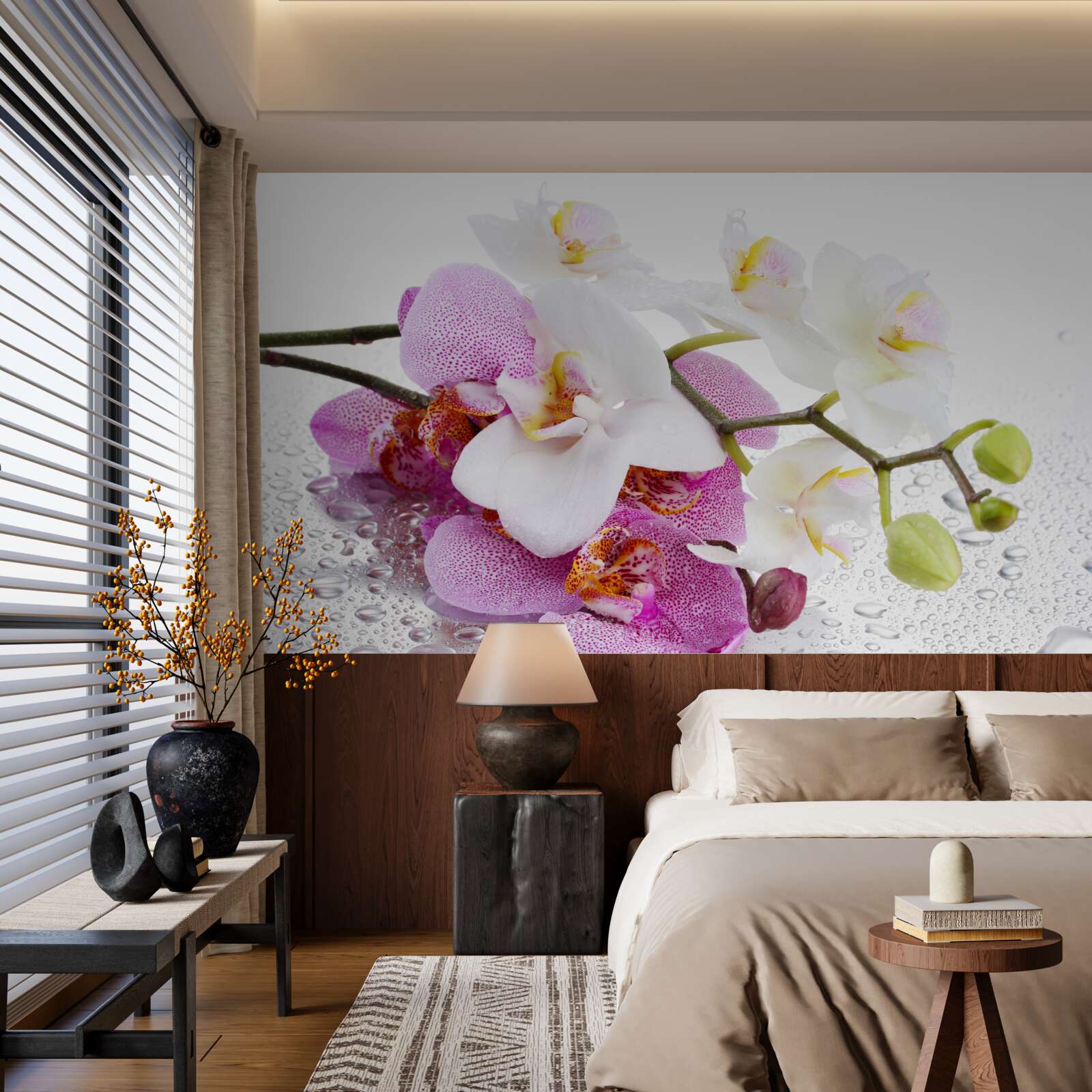 Fototapeta krople rosy na gałęziach białej i liliowej orchidei