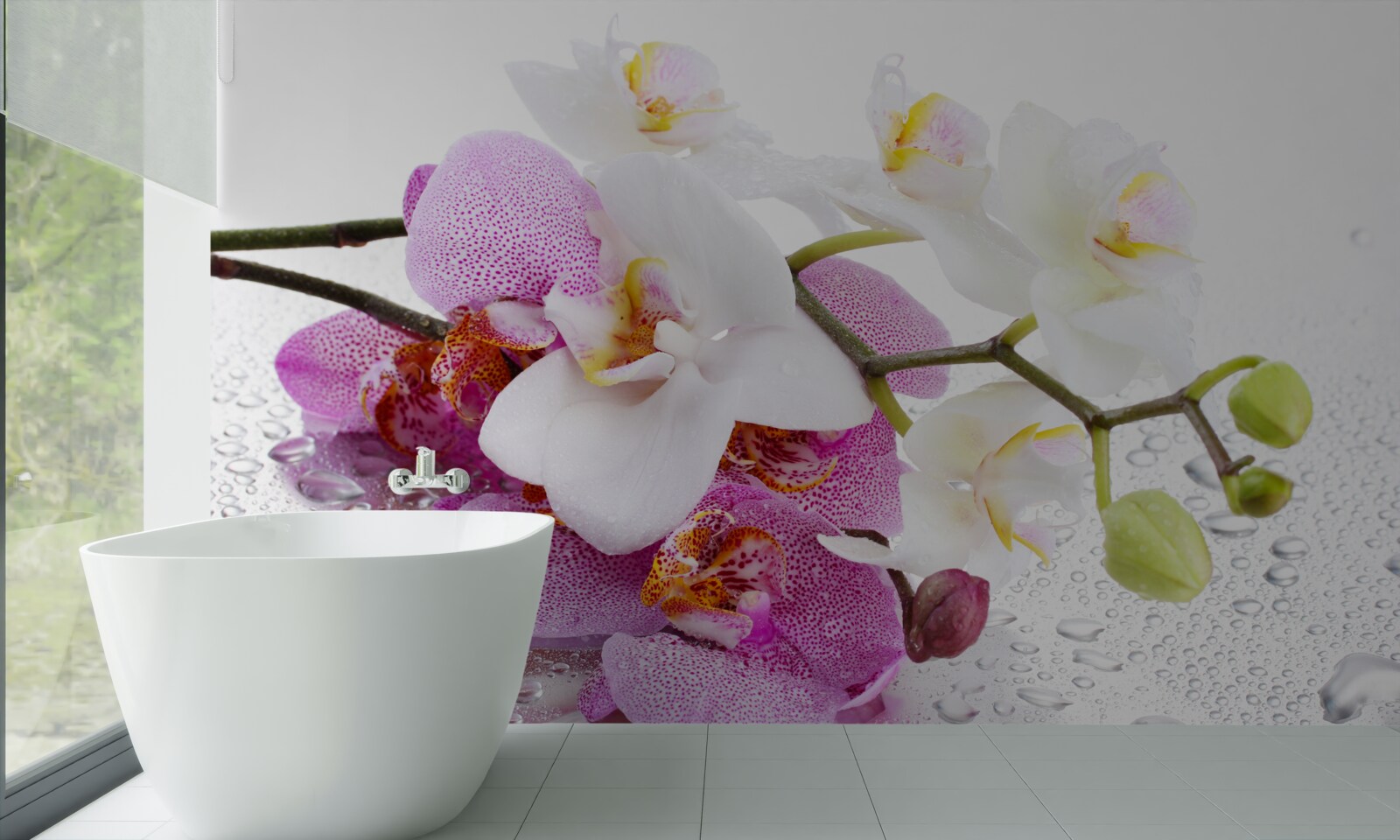 Fototapeta krople rosy na gałęziach białej i liliowej orchidei