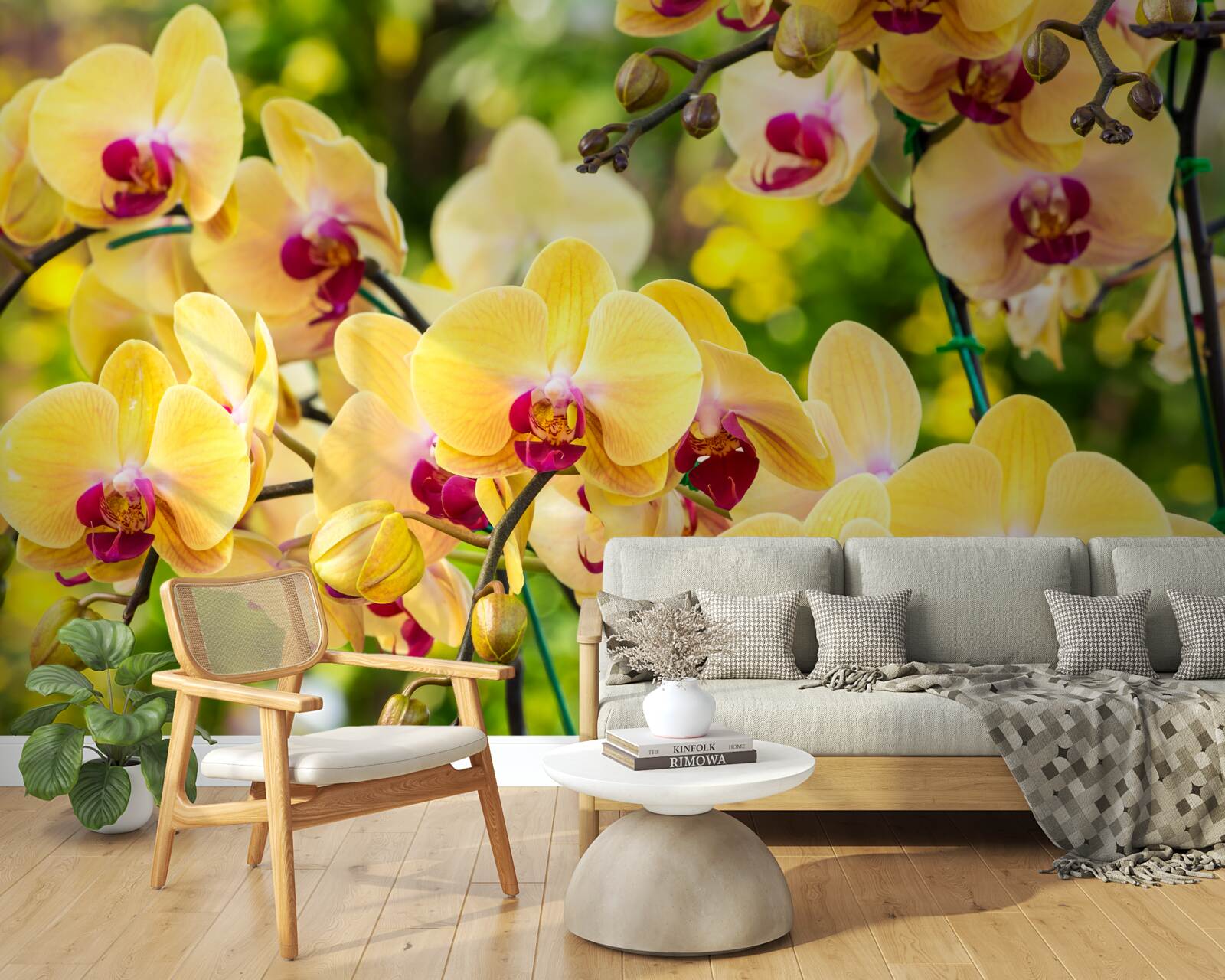 Fototapeta Żółte orchidee w letnim ogrodzie