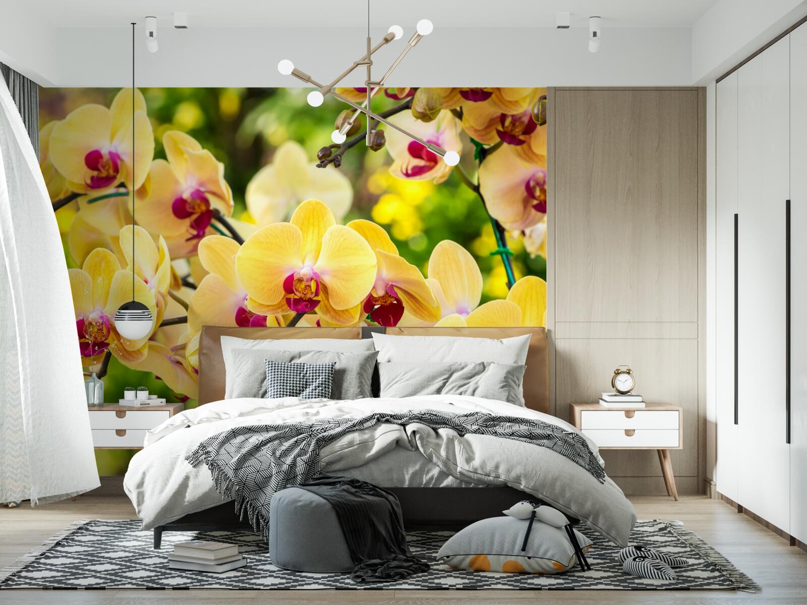 Fototapeta Żółte orchidee w letnim ogrodzie