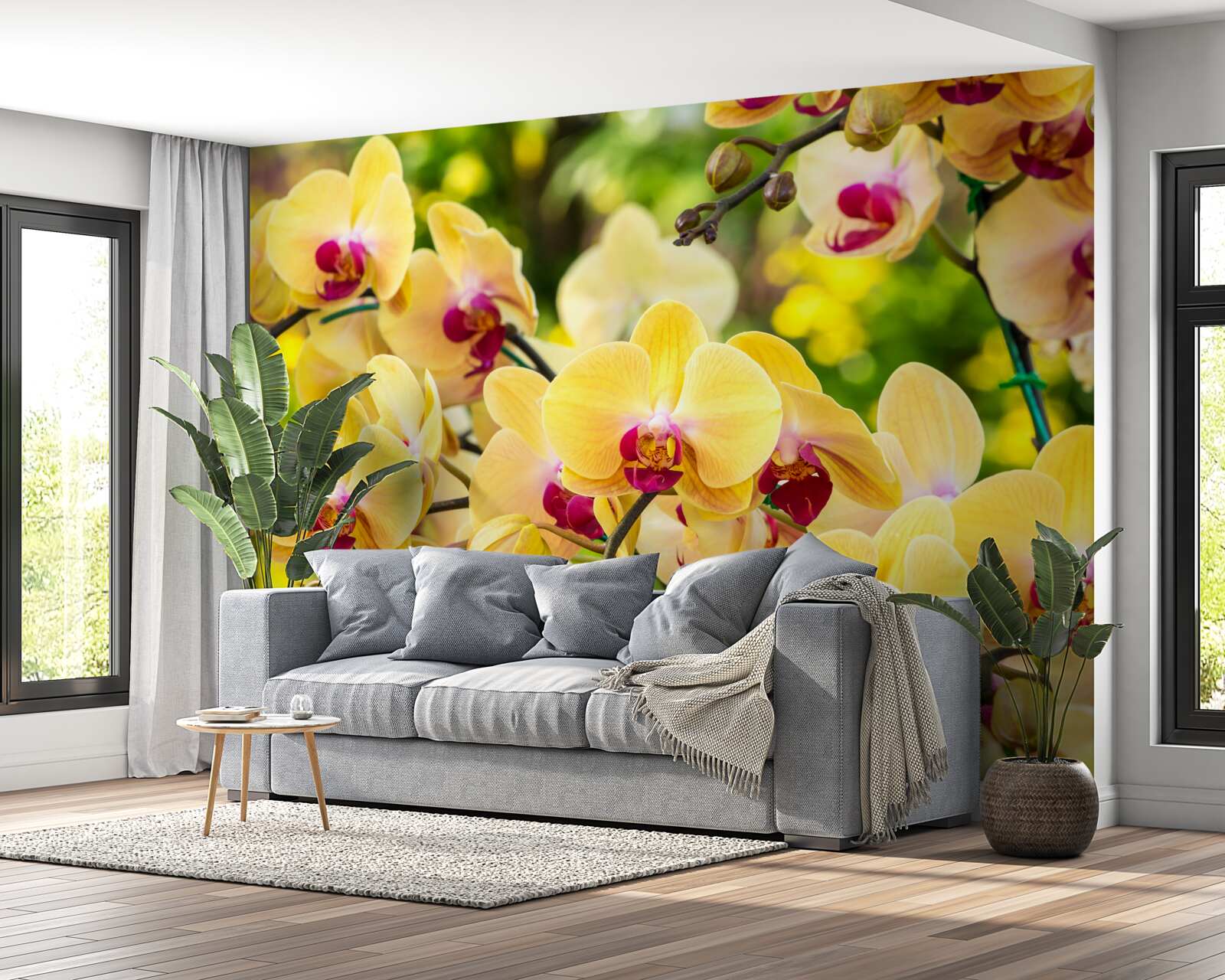 Fototapeta Żółte orchidee w letnim ogrodzie