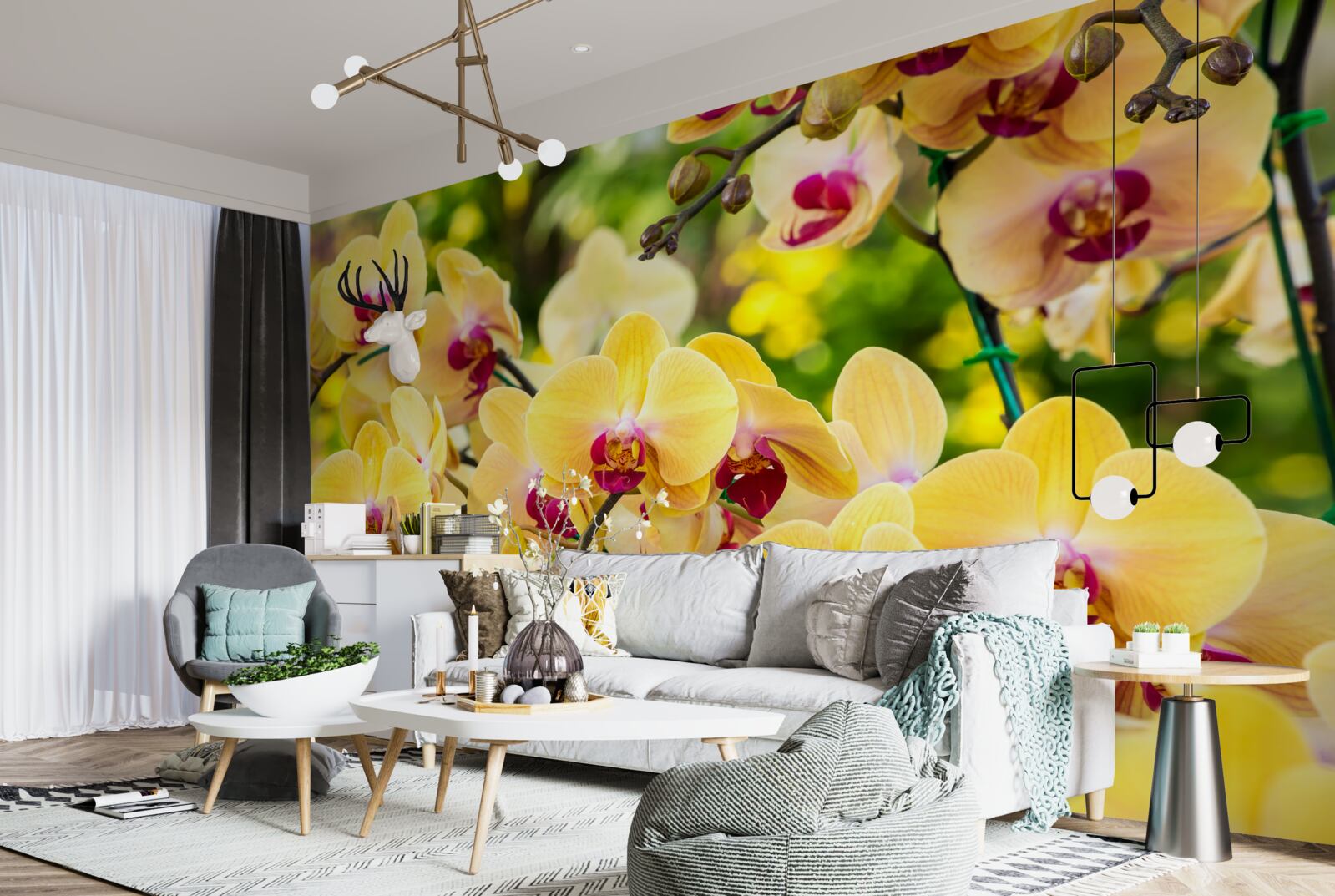 Fototapeta Żółte orchidee w letnim ogrodzie
