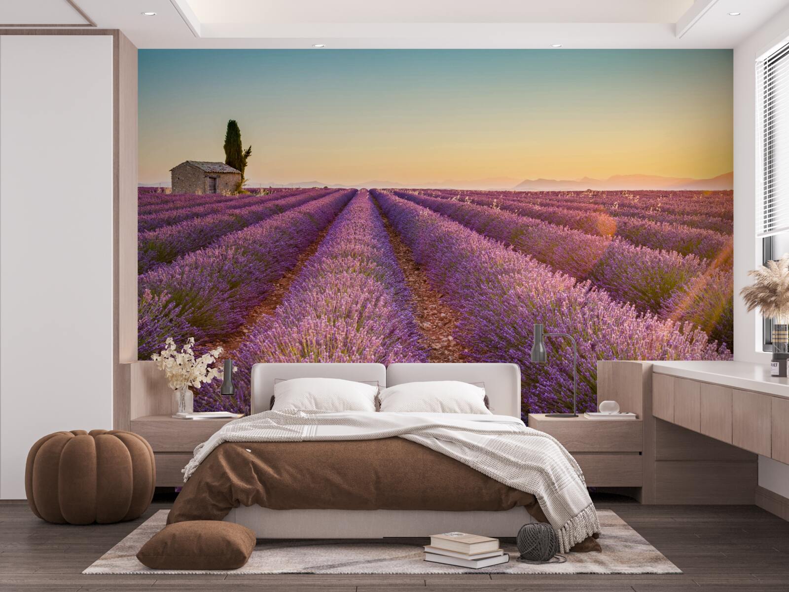 Fototapeta Świt wstał nad polem lawendy
