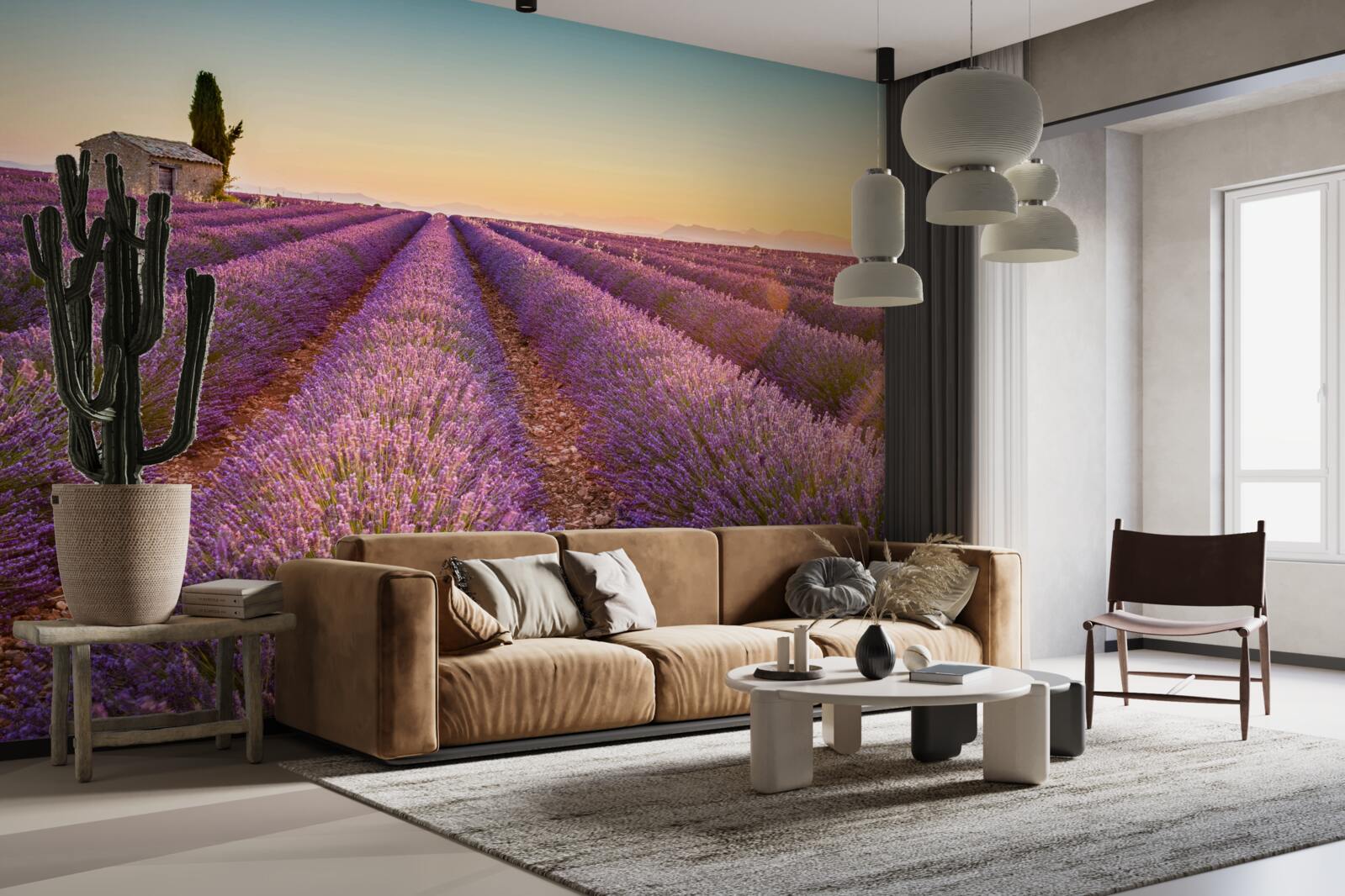 Fototapeta Świt wstał nad polem lawendy