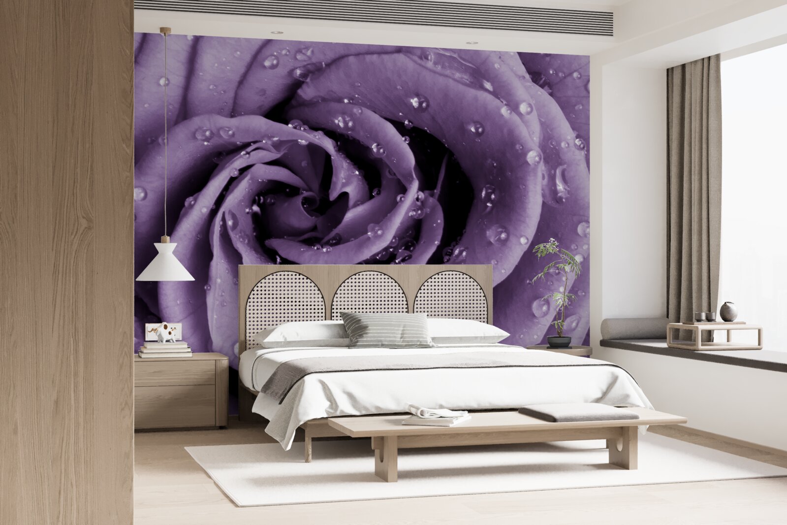 Fototapeta poranna rosa na fioletowej róży