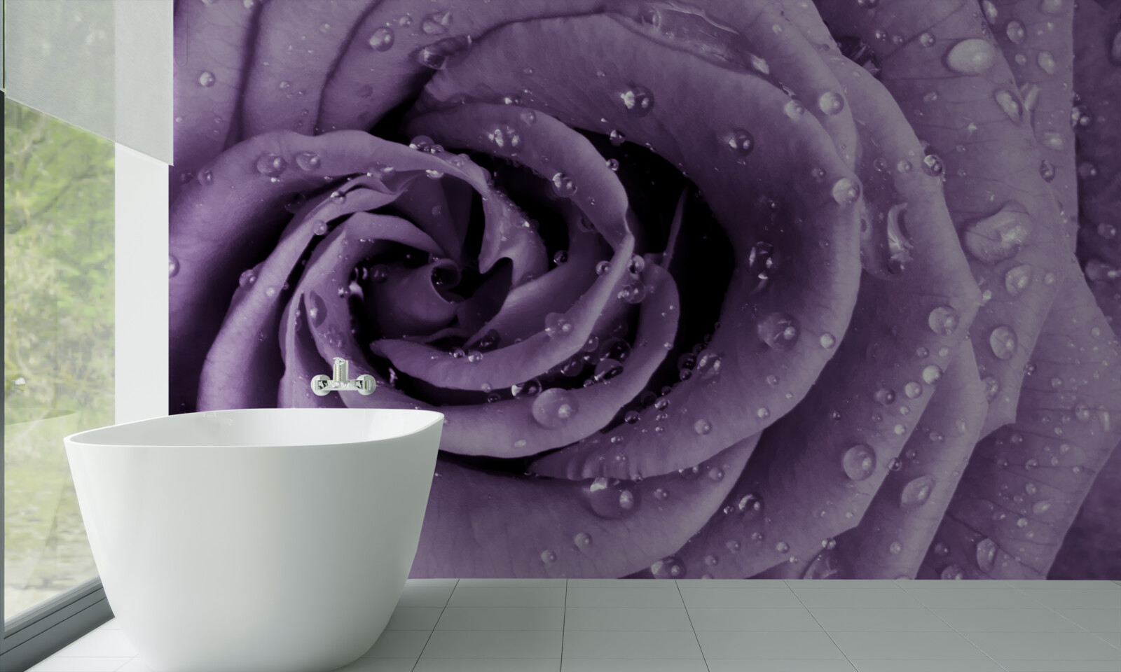 Fototapeta poranna rosa na fioletowej róży