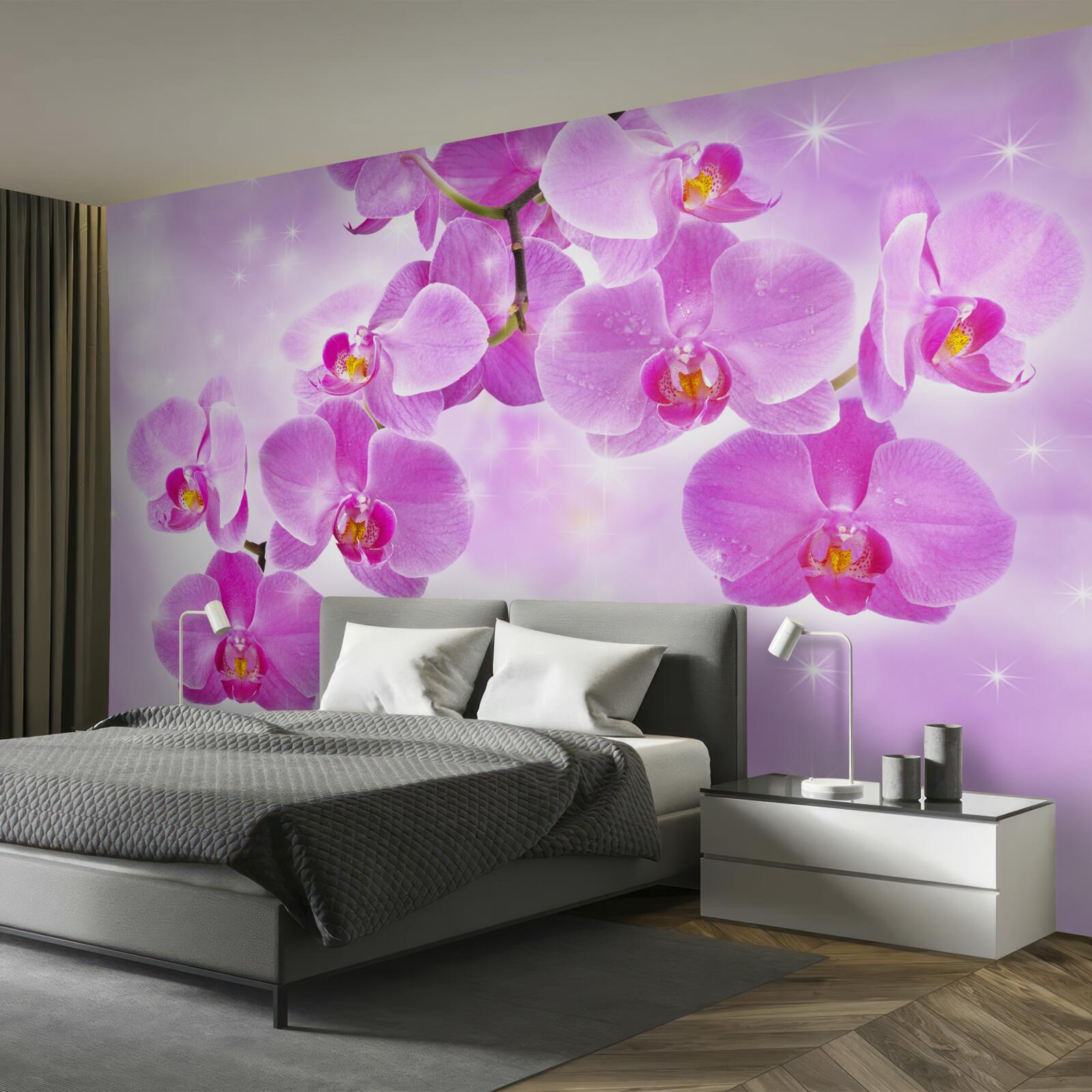Fototapeta orchidea o liliowym odcieniu, blaknąca, pochyla się