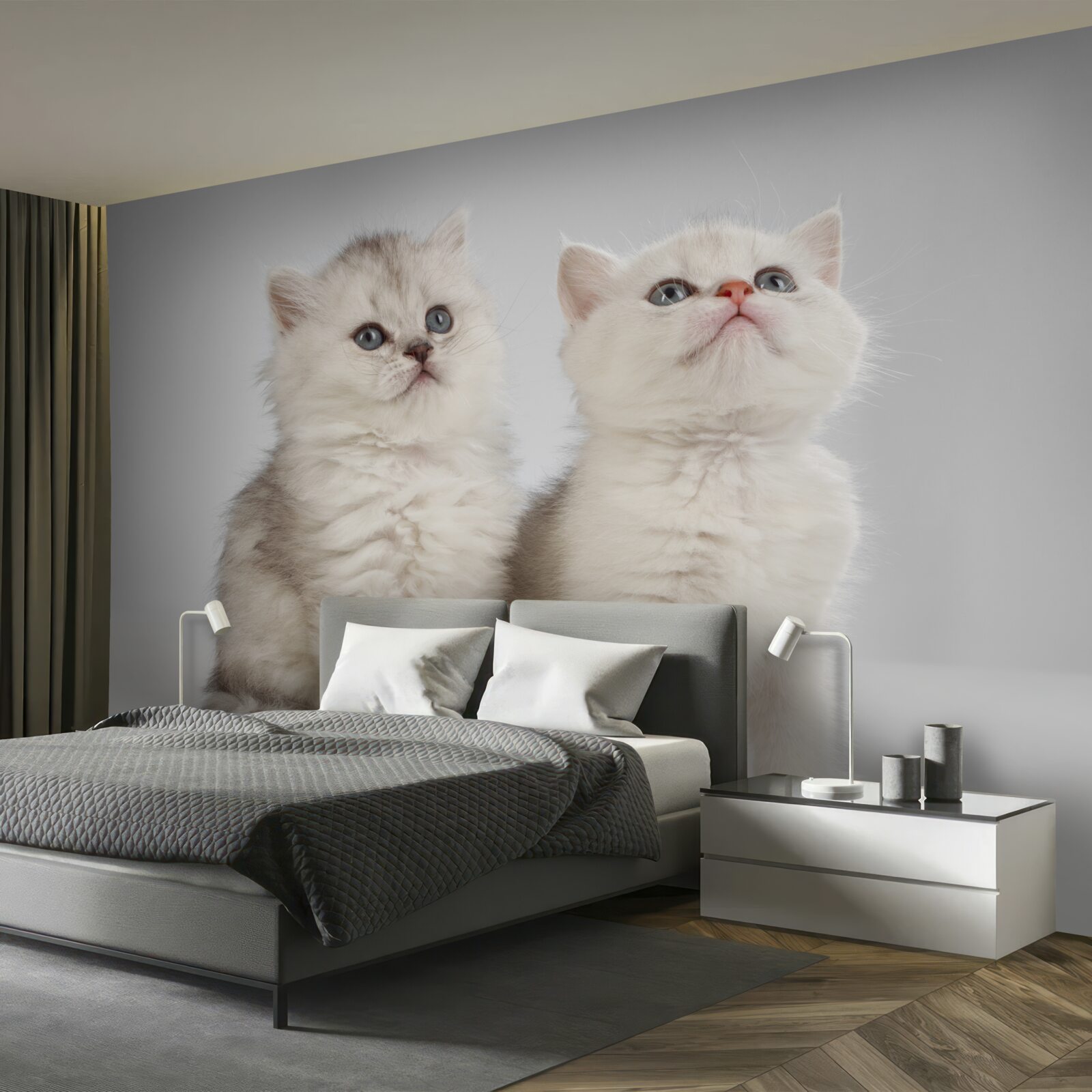 Fototapeta obserwują dwa małe koty