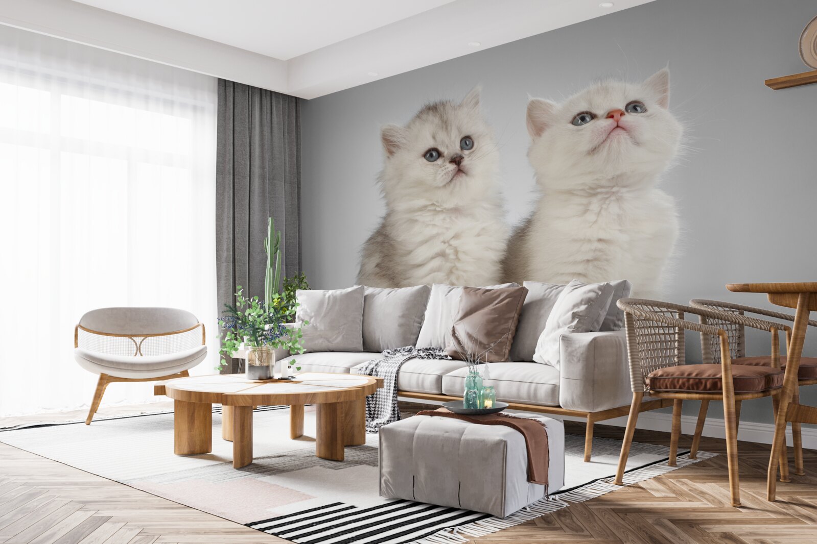 Fototapeta obserwują dwa małe koty