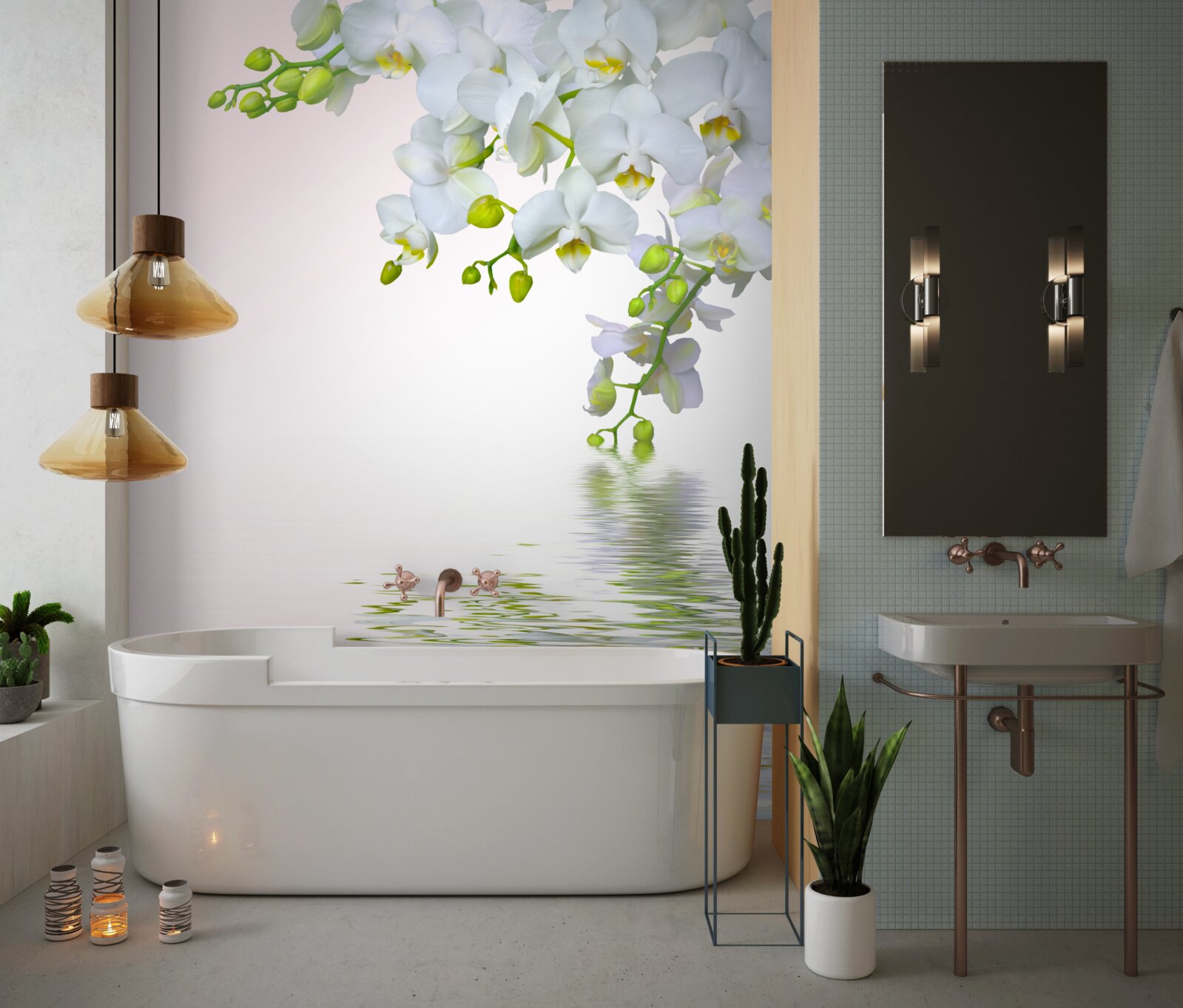 Fototapeta orchidee białe jak śnieg o świcie