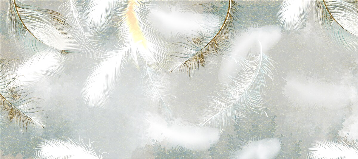 Fototapeta pióra w tle