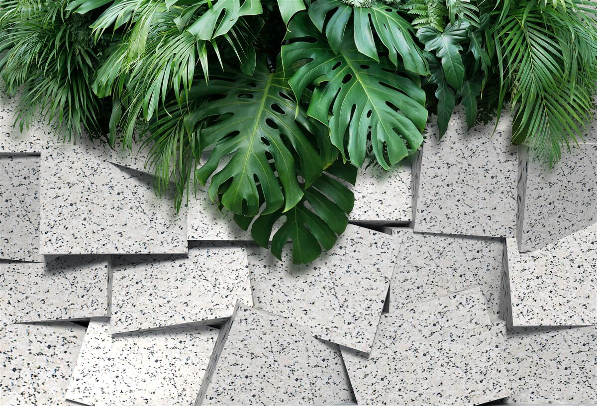 Fototapeta monstera w tropikalnej atmosferze na szarym tle