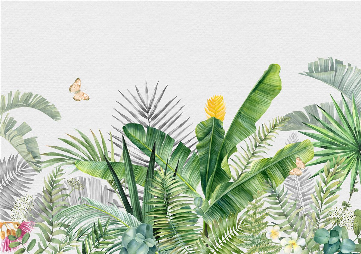 Fototapeta tropikalna flora na jasnym tle