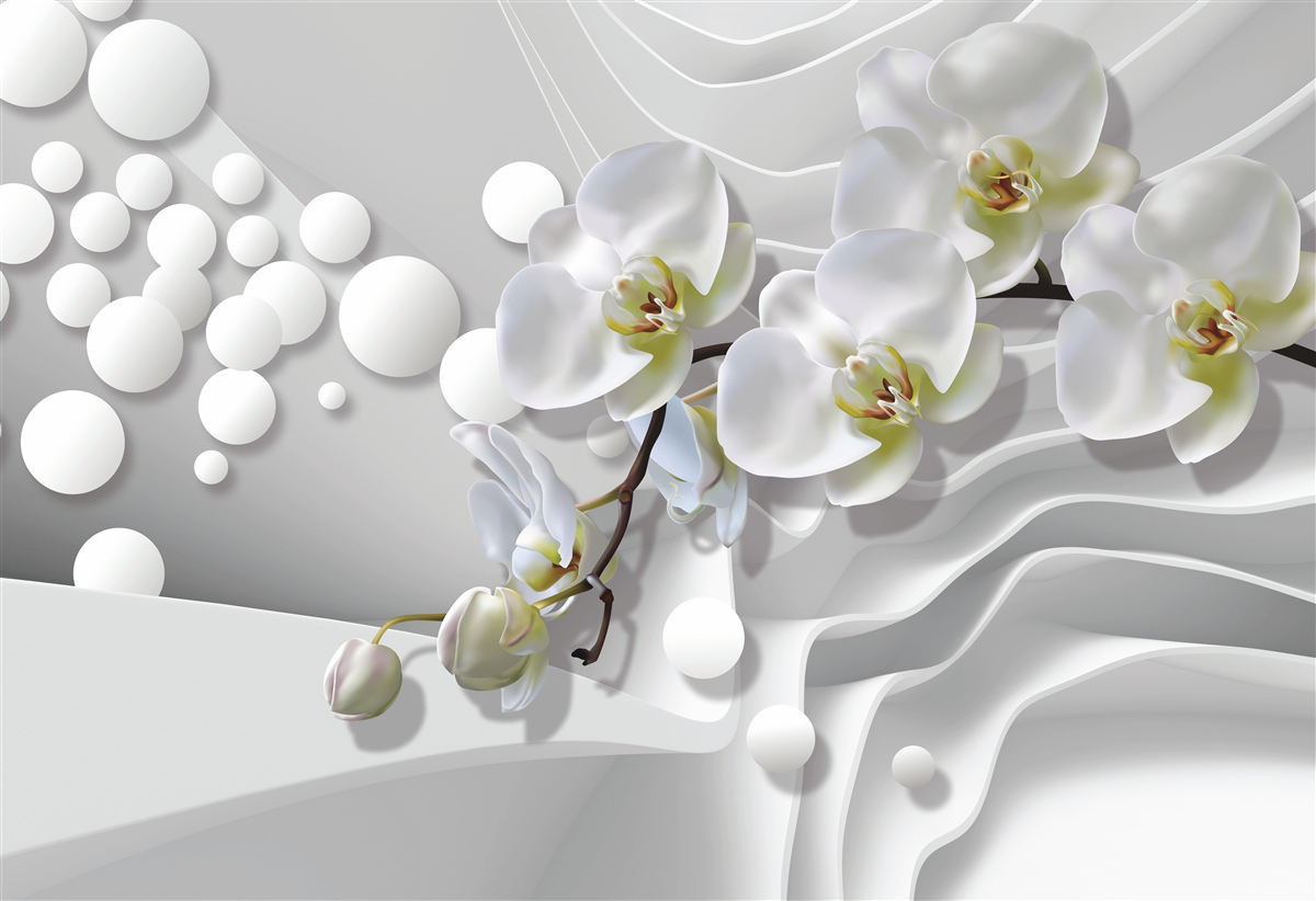 Fototapeta orchidea z abstrakcyjną białą gałązką