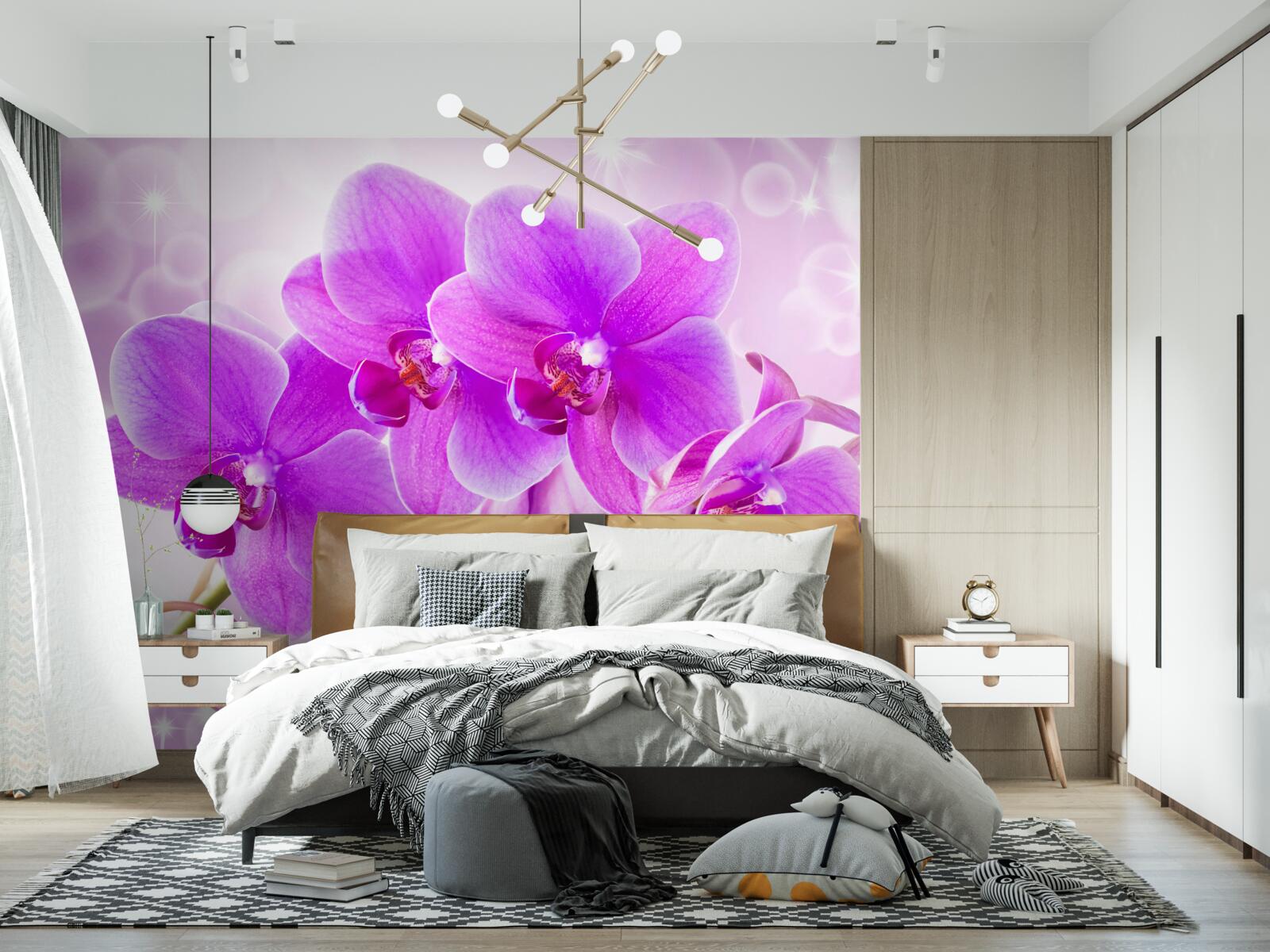 Fototapeta delikatna fioletowa orchidea wygląda naprawdę imponująco