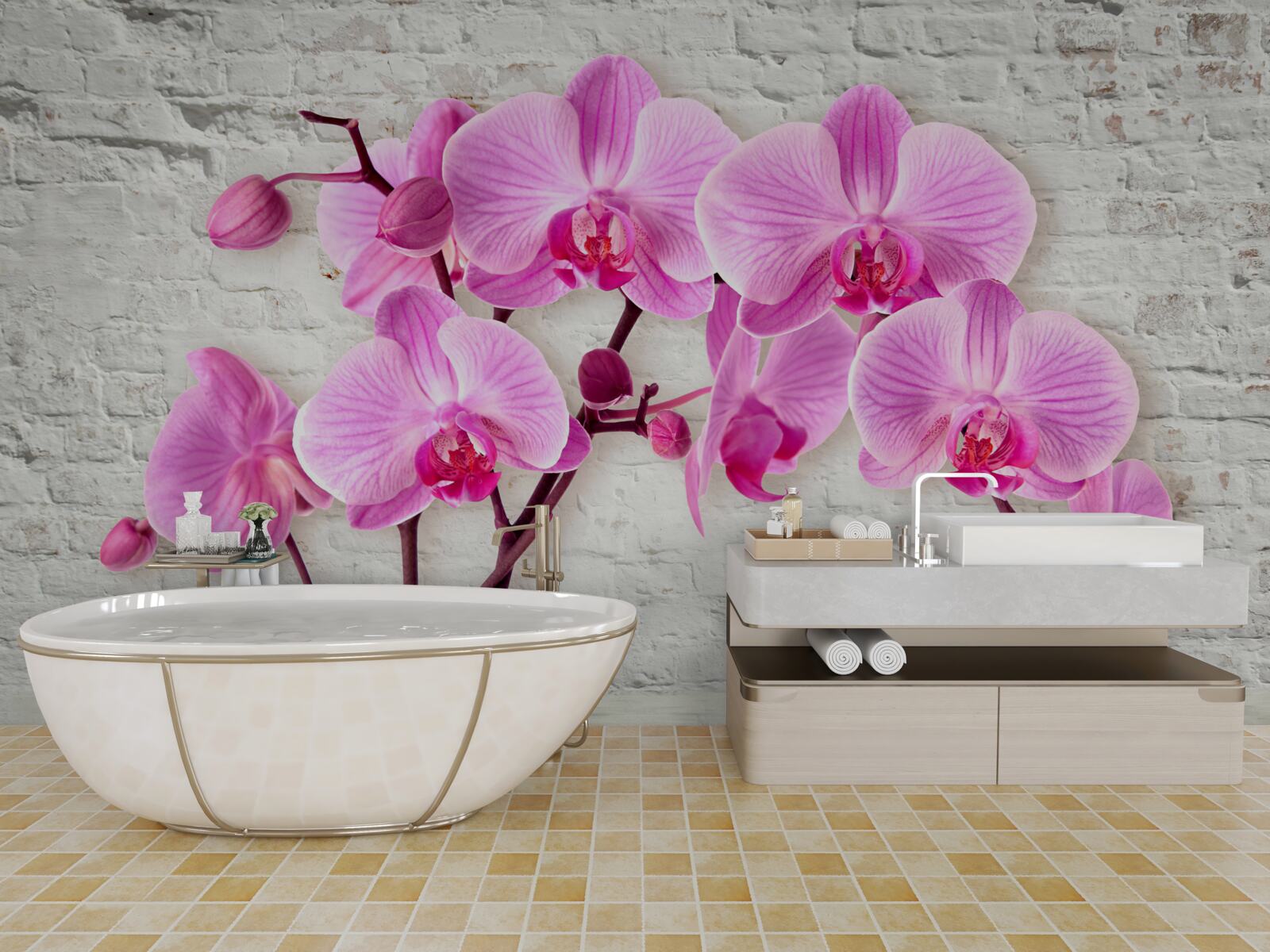 Fototapeta miękki fioletowy kwiat orchidei