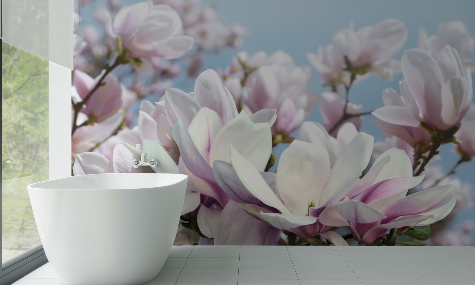 Fototapeta magnolia owiana kwiatami