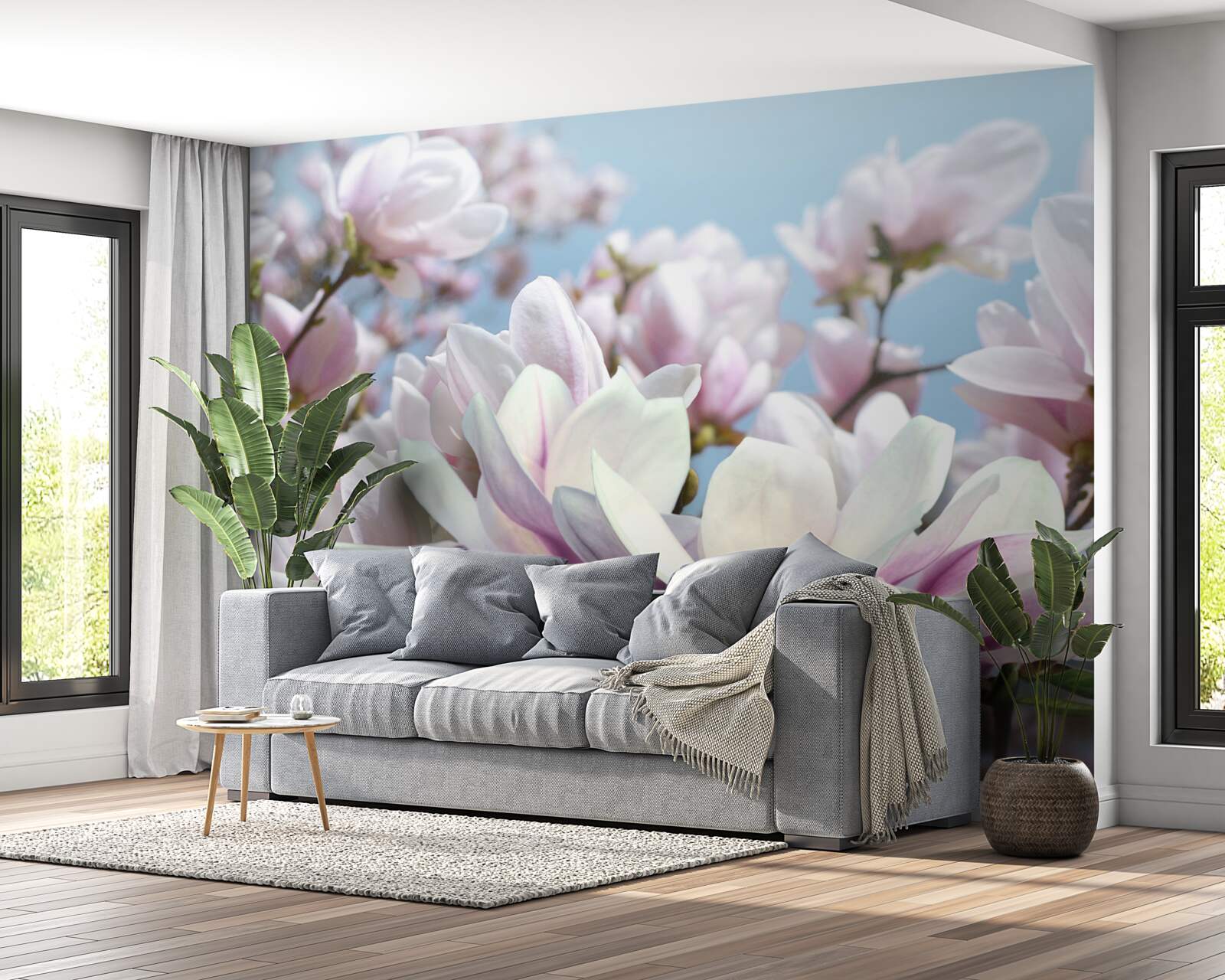 Fototapeta magnolia owiana kwiatami
