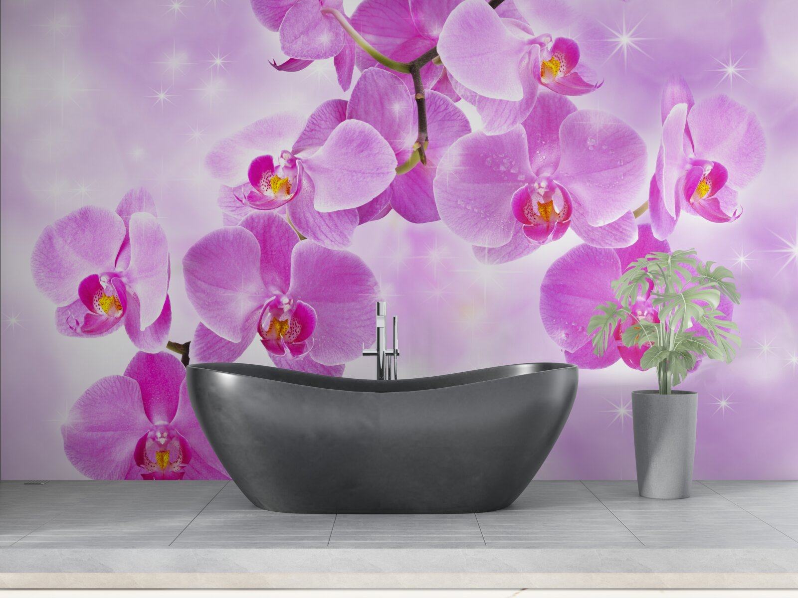 Fototapeta zwisają fioletowe orchidee