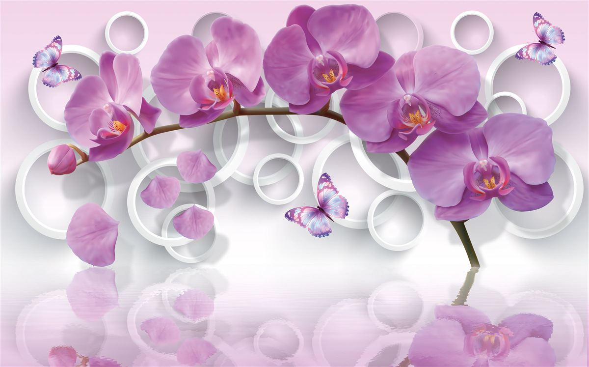 Fototapeta fioletowe orchidee na jasnym tle