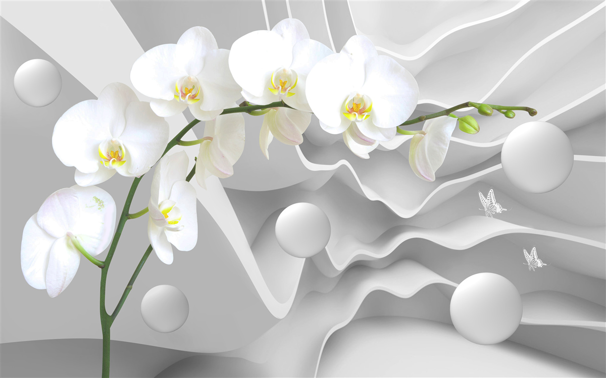 Fototapeta biały kwiat orchidei na gałęzi