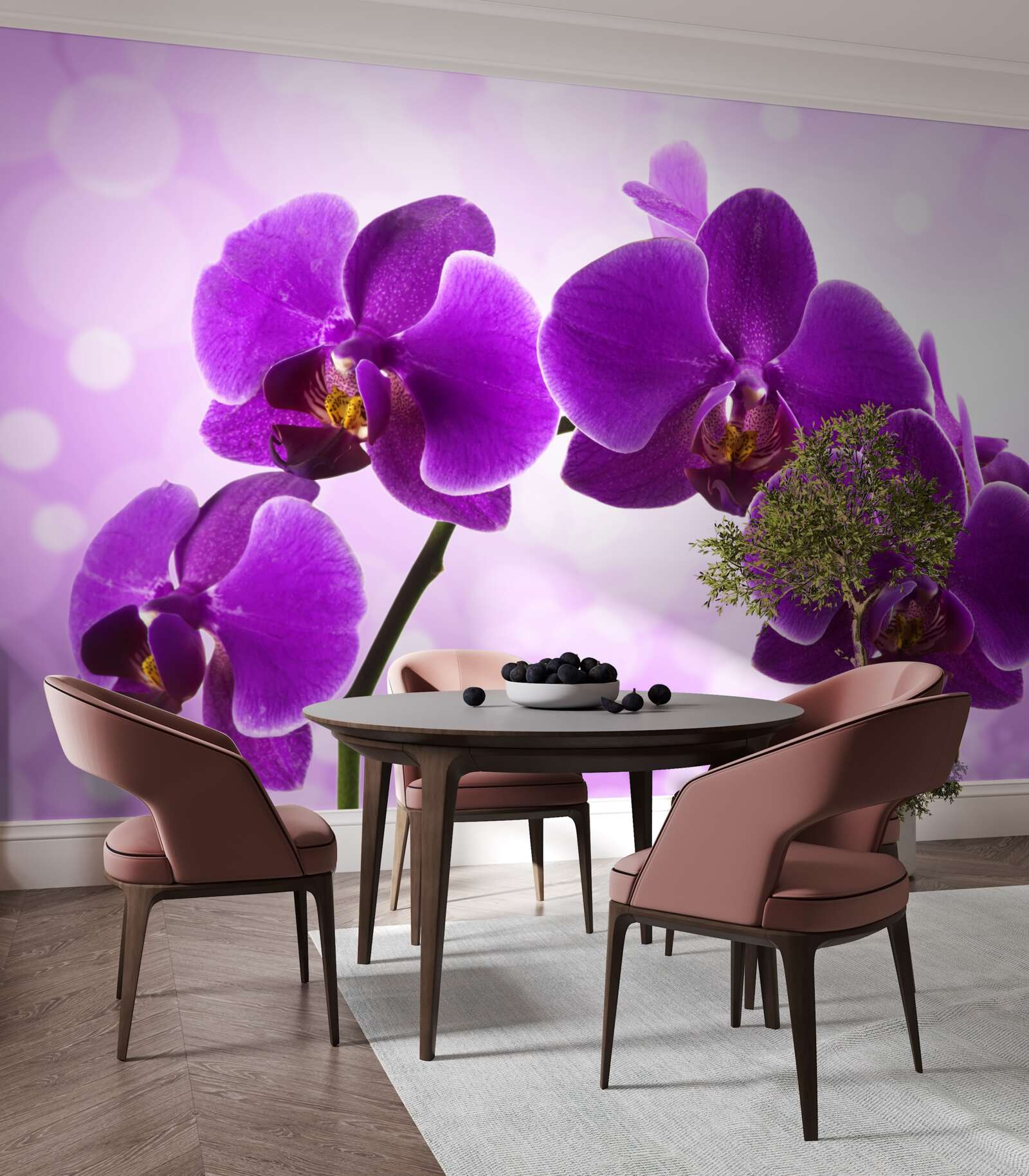 Fototapeta głęboko fioletowa orchidea