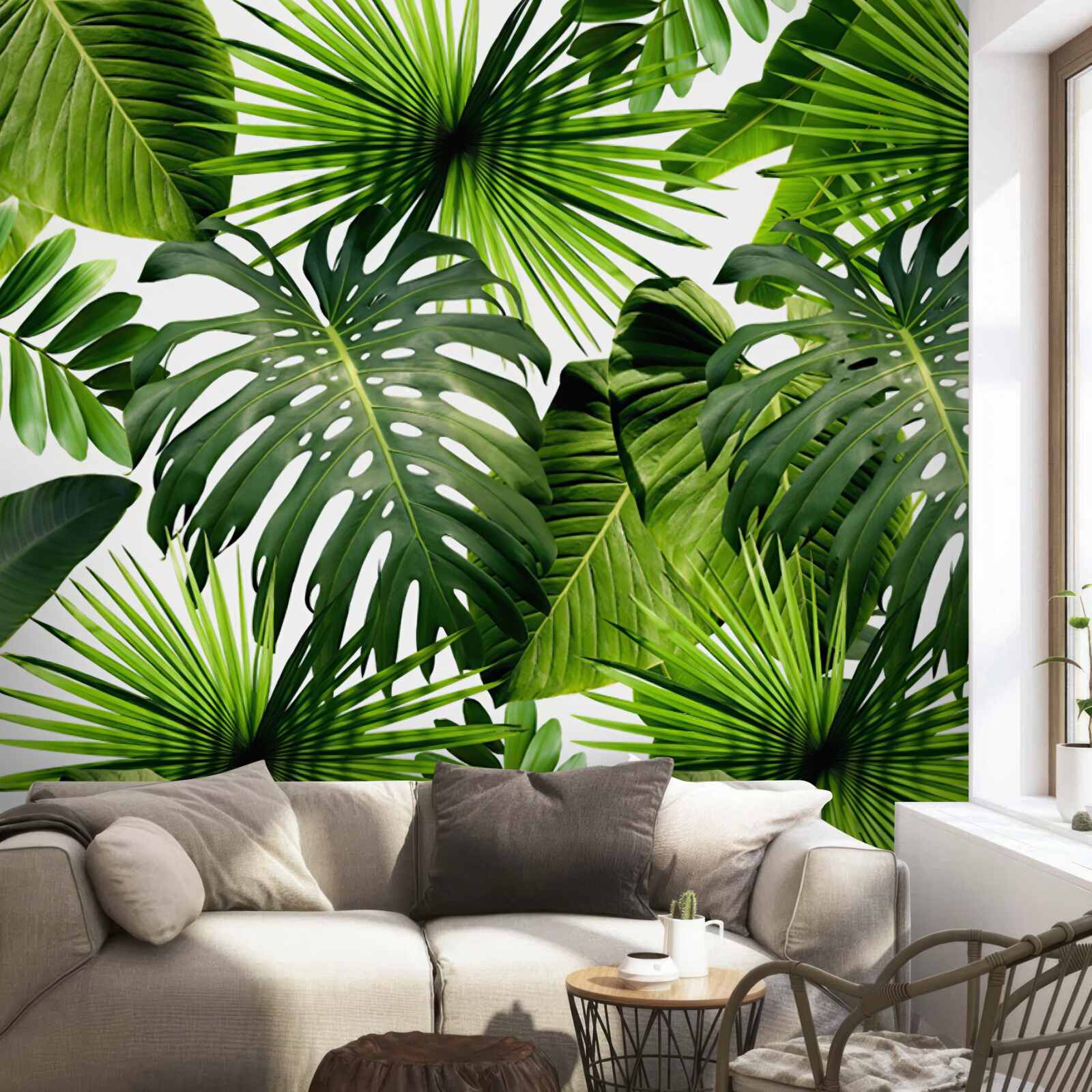 Fototapeta monstera i liście bananów na białym tle, z gęstością