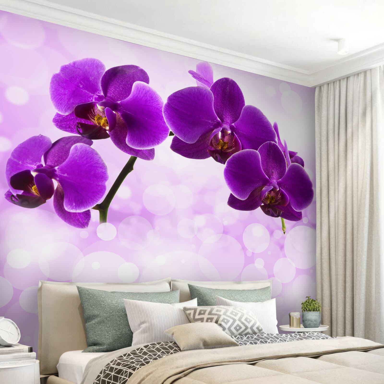 Fototapeta orchidee z ciemnofioletowymi kwiatami
