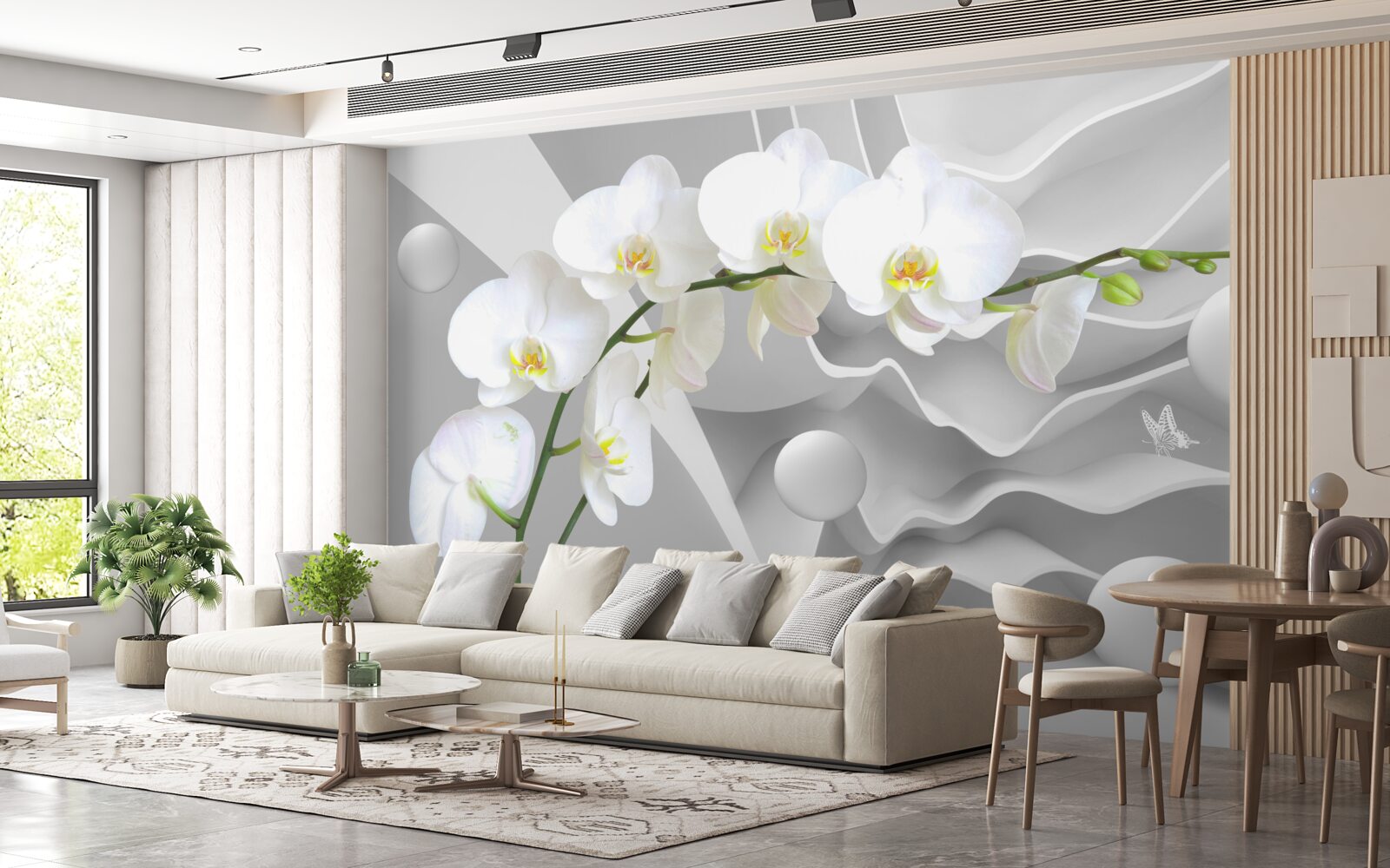 Fototapeta biała orchidea na szarym tle
