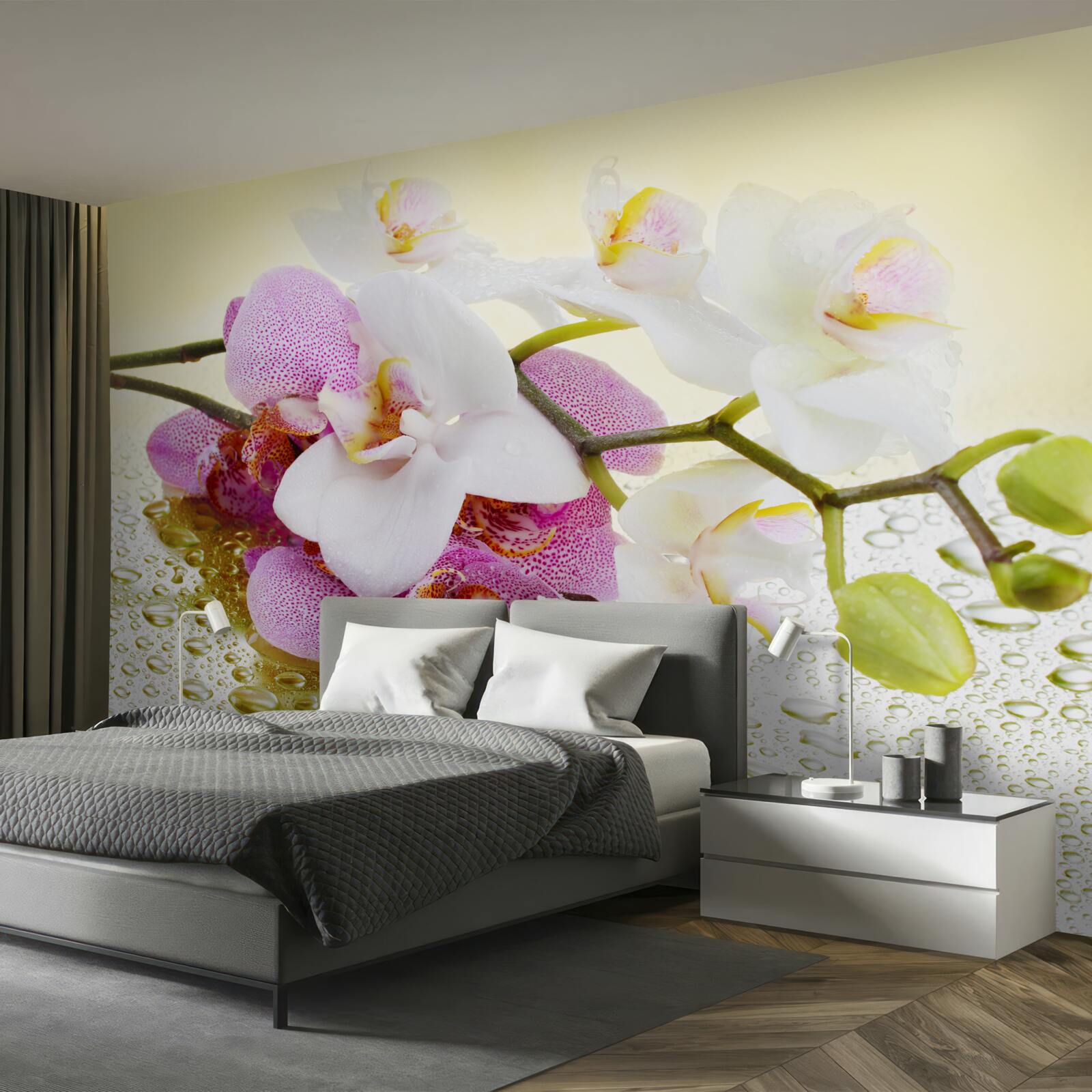 Fototapeta krople na gałęzie zachwycających orchidei