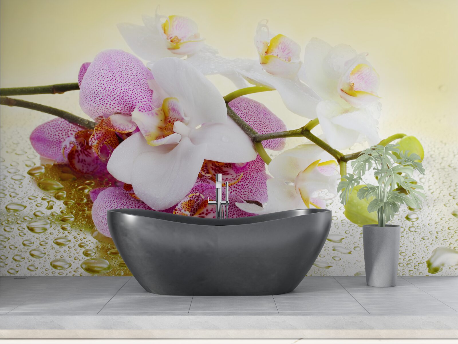 Fototapeta krople na gałęzie zachwycających orchidei