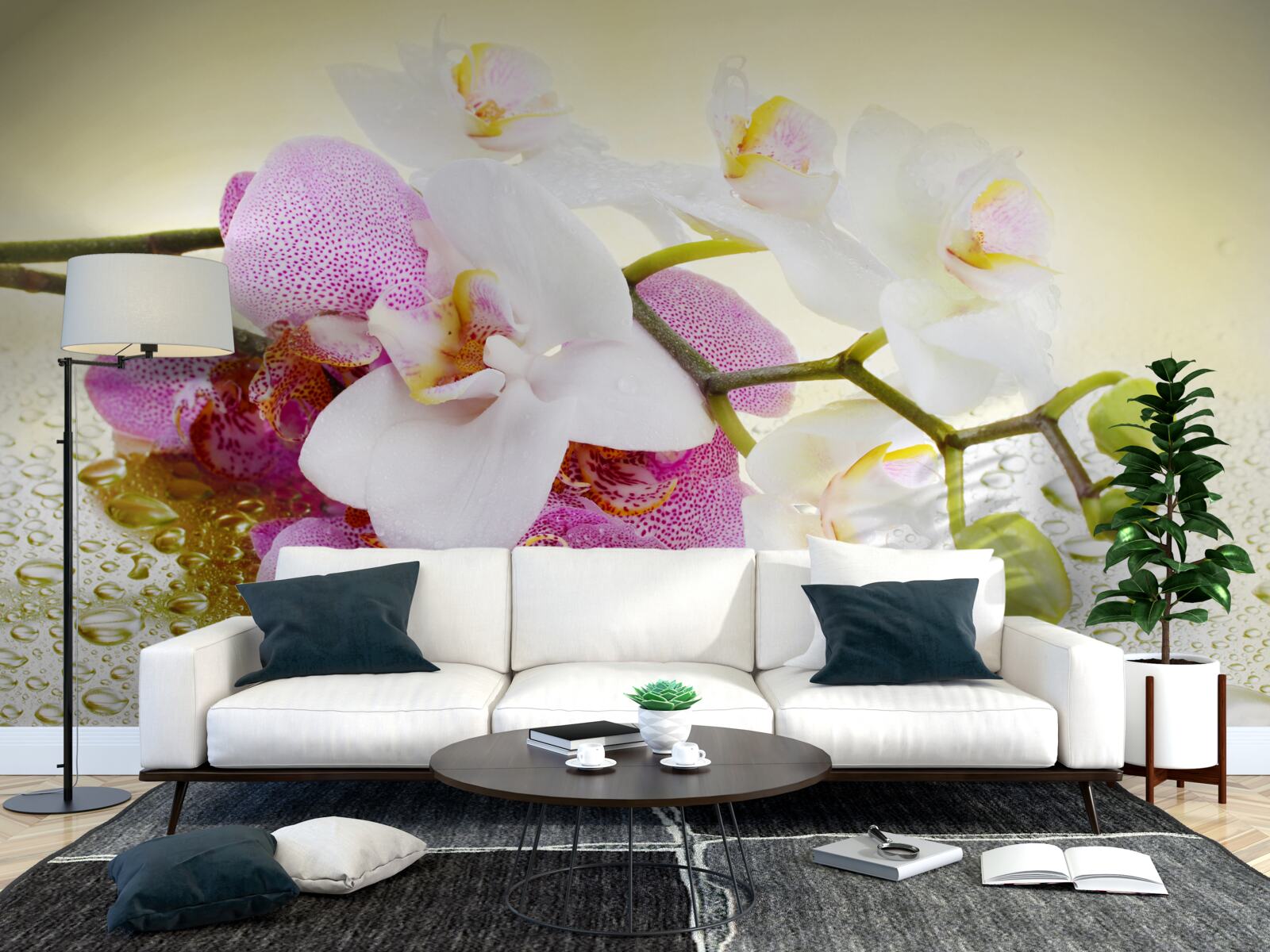 Fototapeta krople na gałęzie zachwycających orchidei