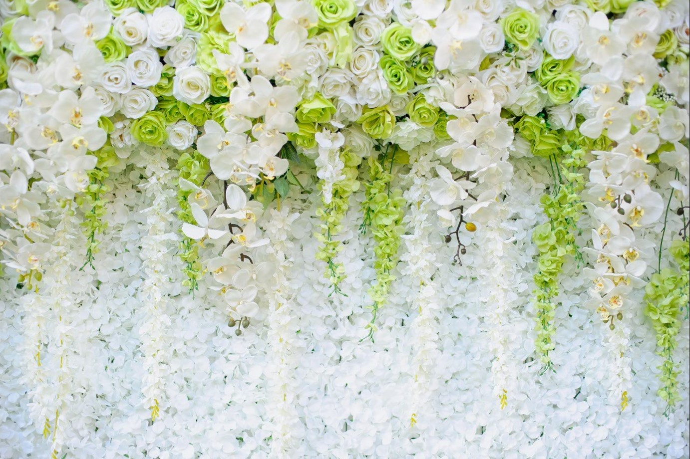Fototapeta różne róże i gałęzie białej orchidei