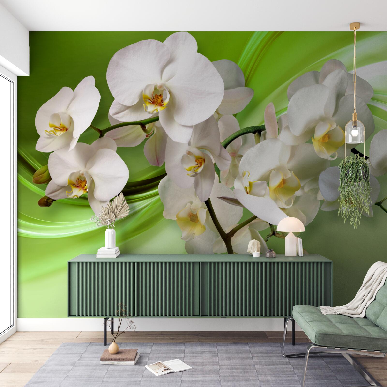 Fototapeta biała orchidea na zielonym tle