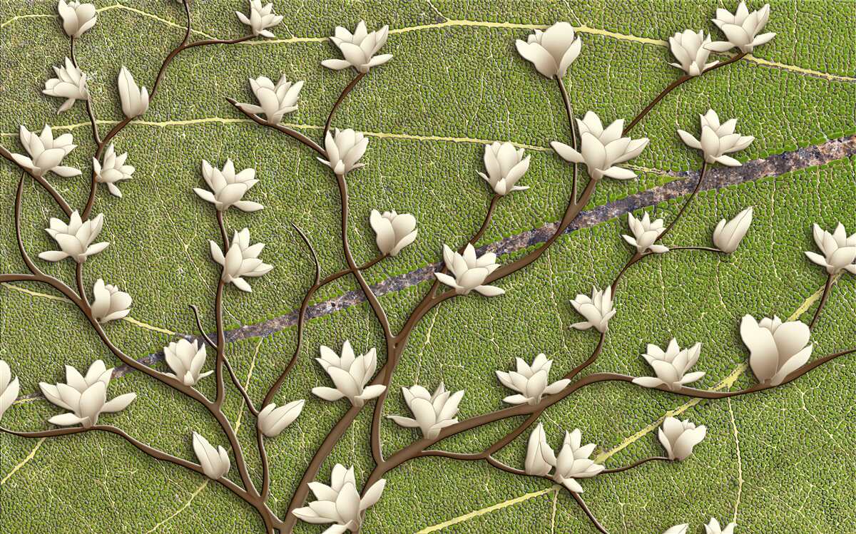 Fototapeta Śnieżnobiałe gałęzie magnolii na zielonym tle