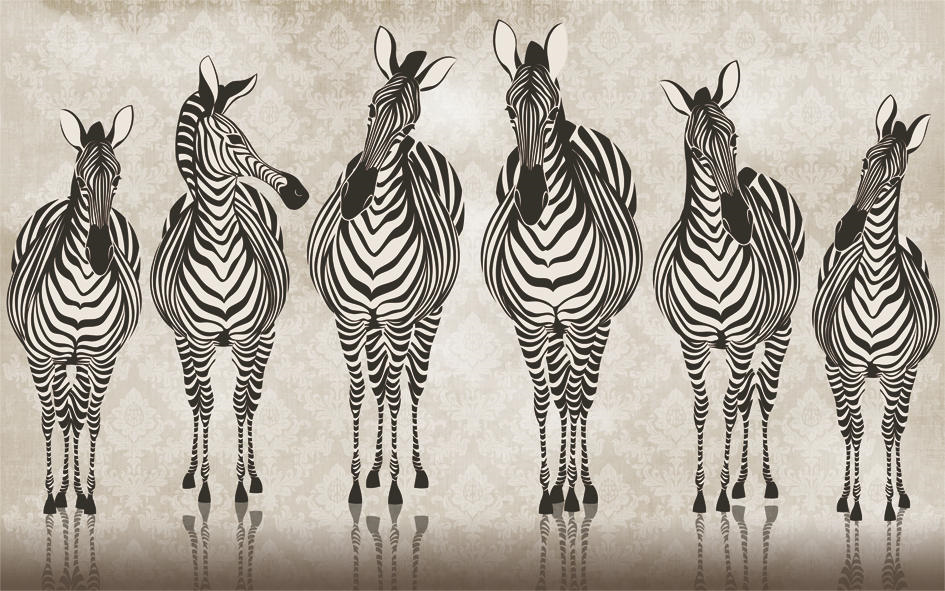 Fototapeta grupa zebr zmierza do swojego schronienia