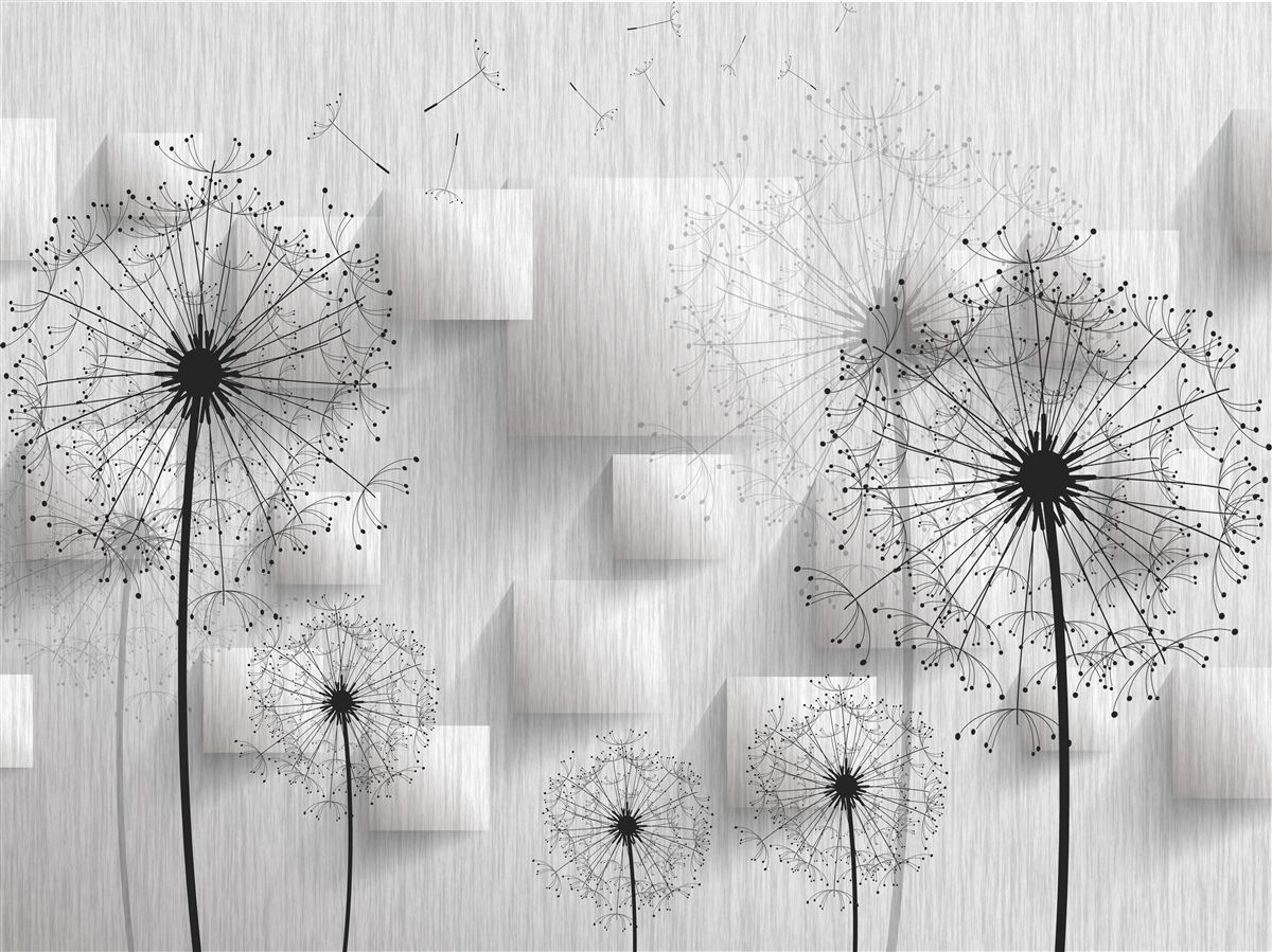 Fototapeta mniszki na tle geometrycznych kształtów tworzących kwadraty